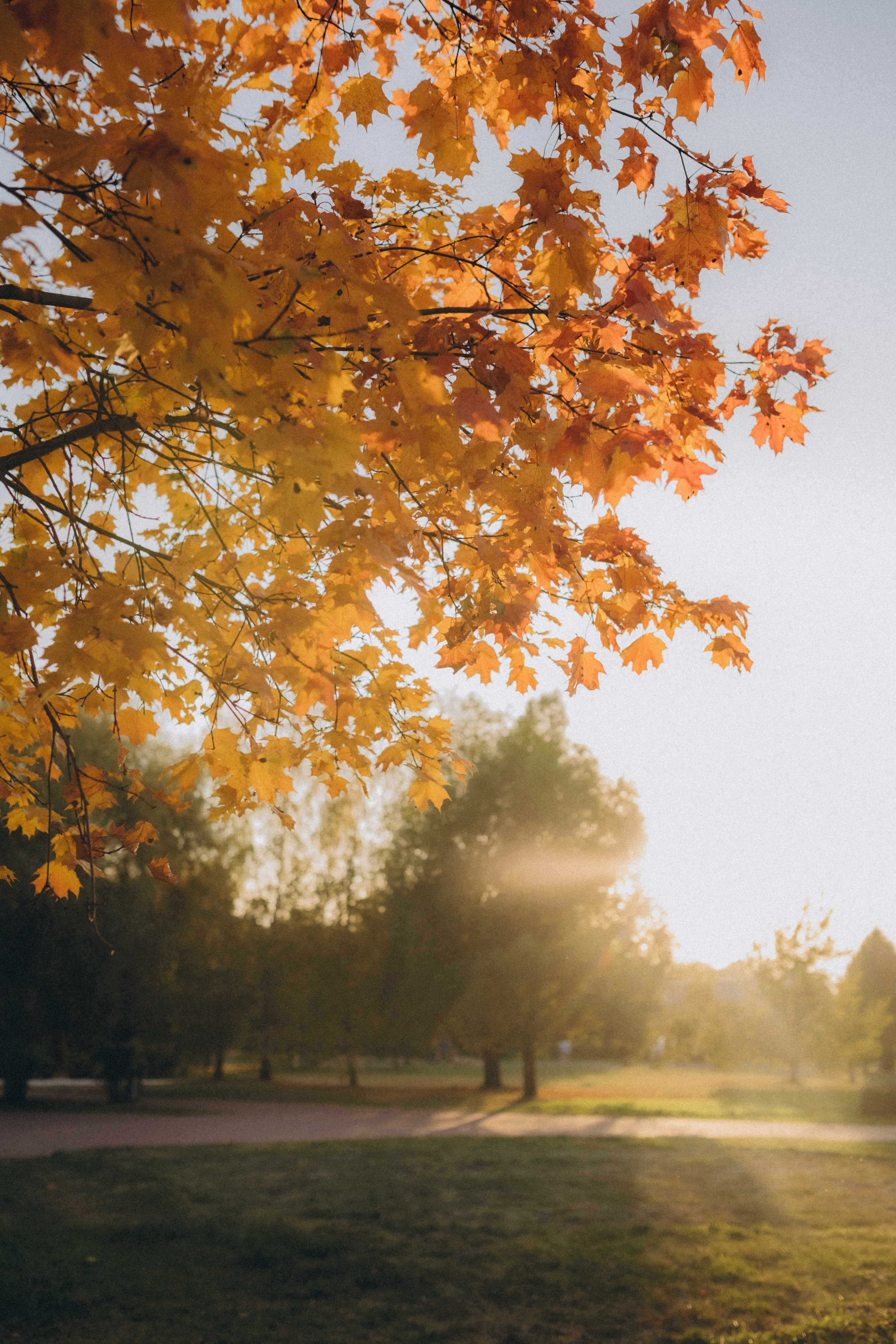 Love stories. Свадебный и семейный фотограф в Москве