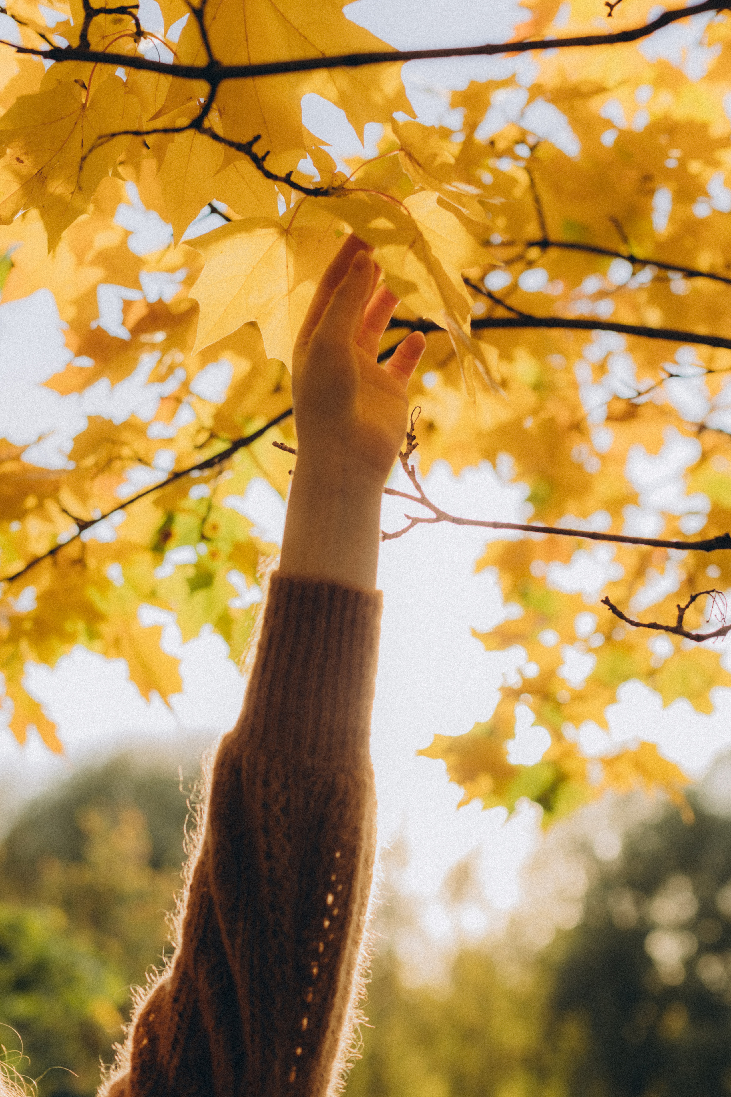 Love stories. Свадебный и семейный фотограф в Москве