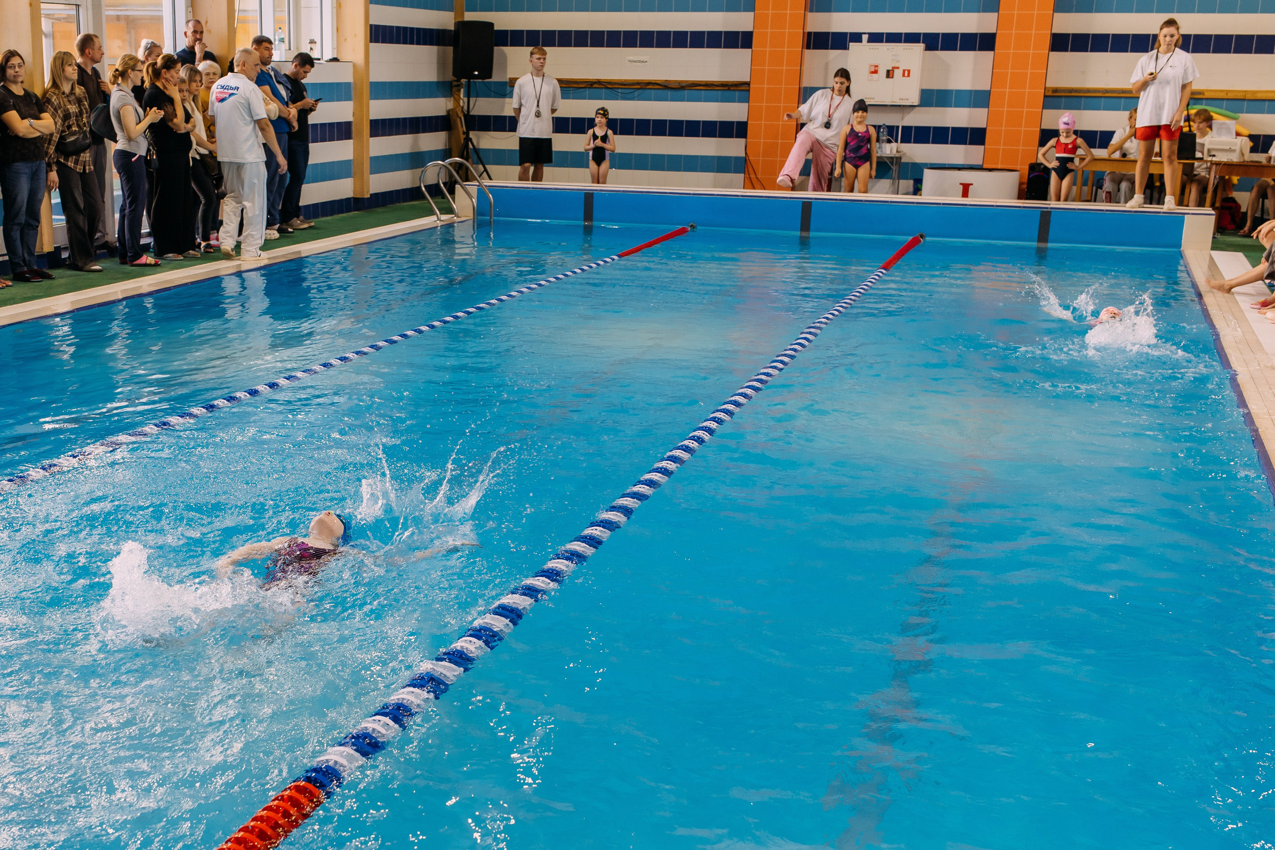 Соревнования по плаванию. Семейный фотограф в Волгограде Надежда Головко