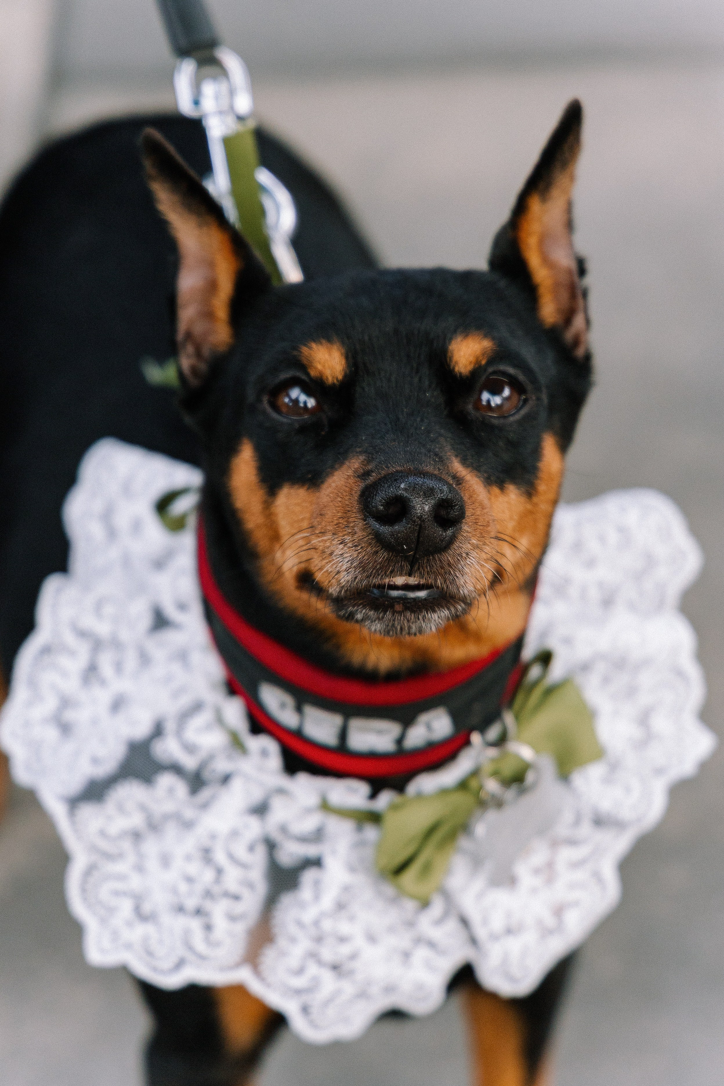 Данила и София. Свадебный фотограф и видеограф в Москве, Виктор Архилюк