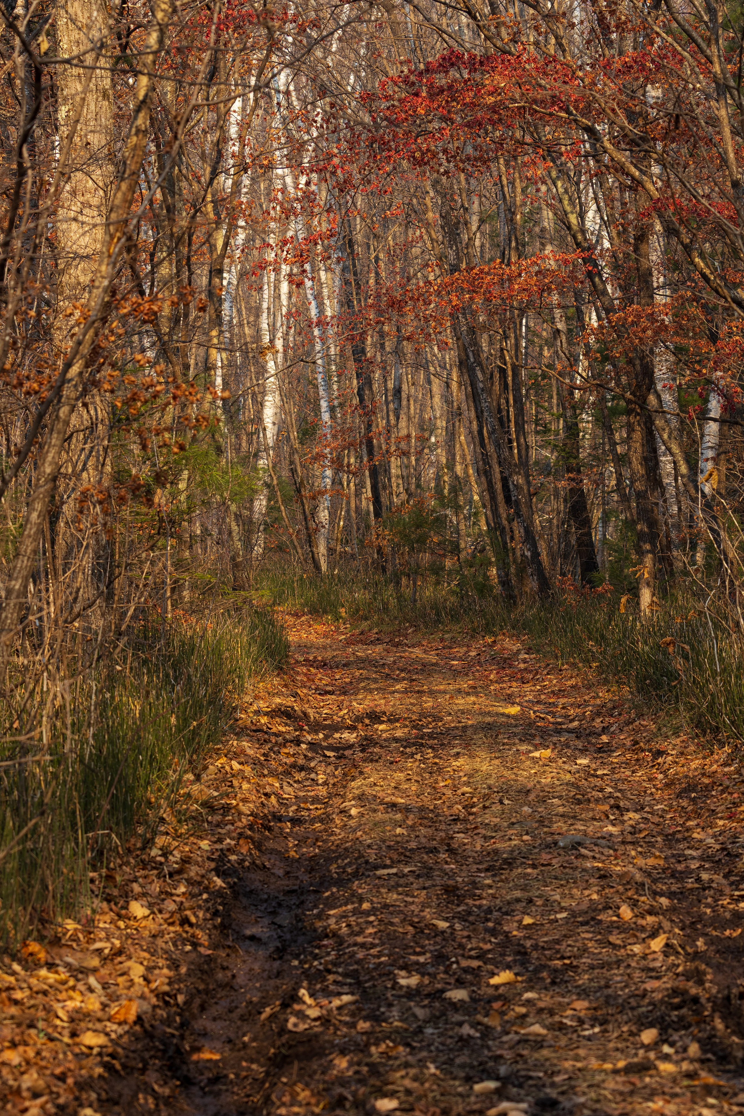 Маруськины слёзы. Константин Кириченко