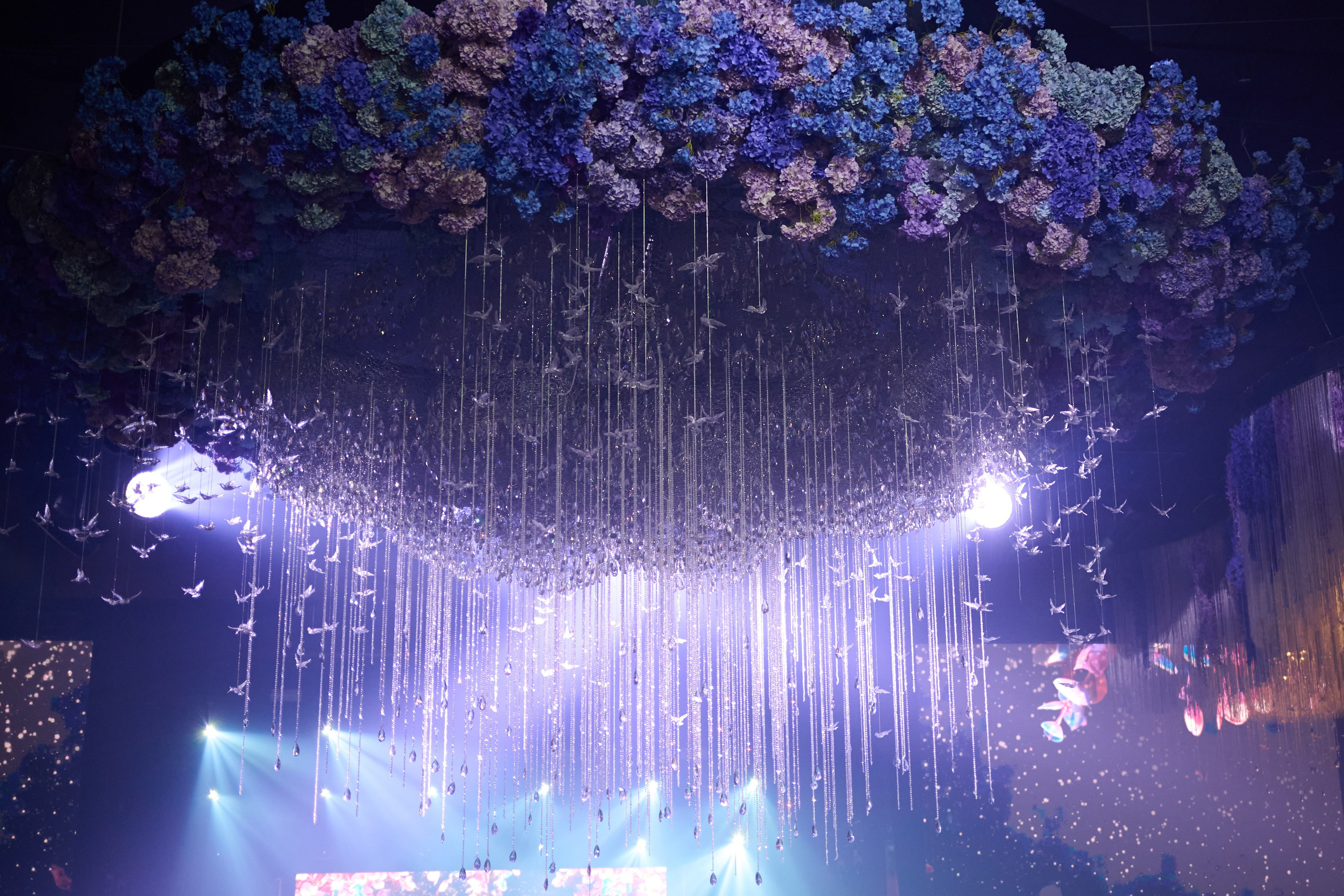 Колибри. Репортажный фотограф в Москве и Санкт-Петербурге — Профессиональная съёмка мероприятий | Данила Золкин