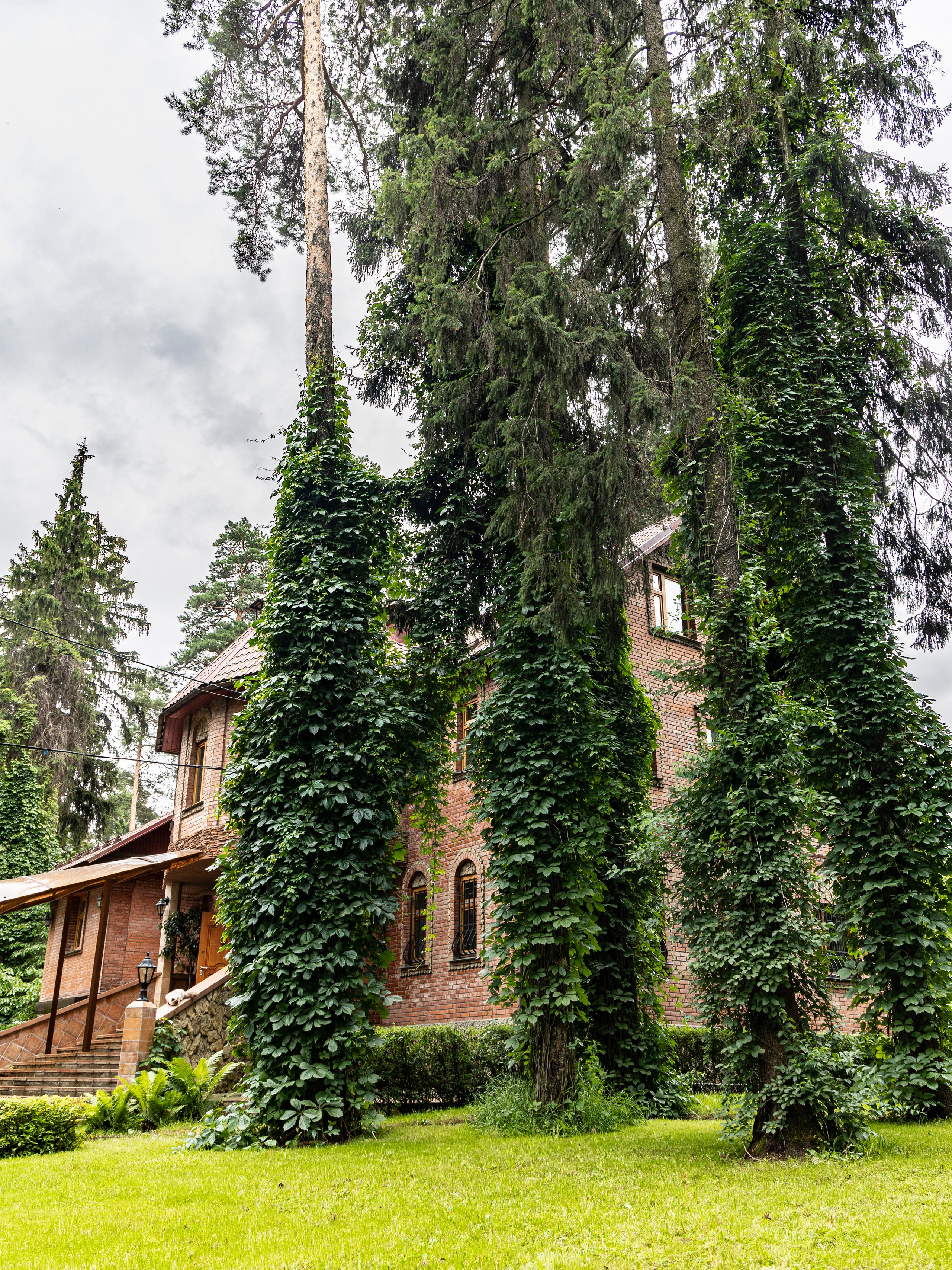 Фотограф Татьяна Марсуверских г. Жуковский, Москва и Мо. Репортажные съёмки, фотосессии. Детский, семейный фотограф. Фотограф для маркетплейсов, фотоуслуги в Жуковском Татьяна Марсуверских