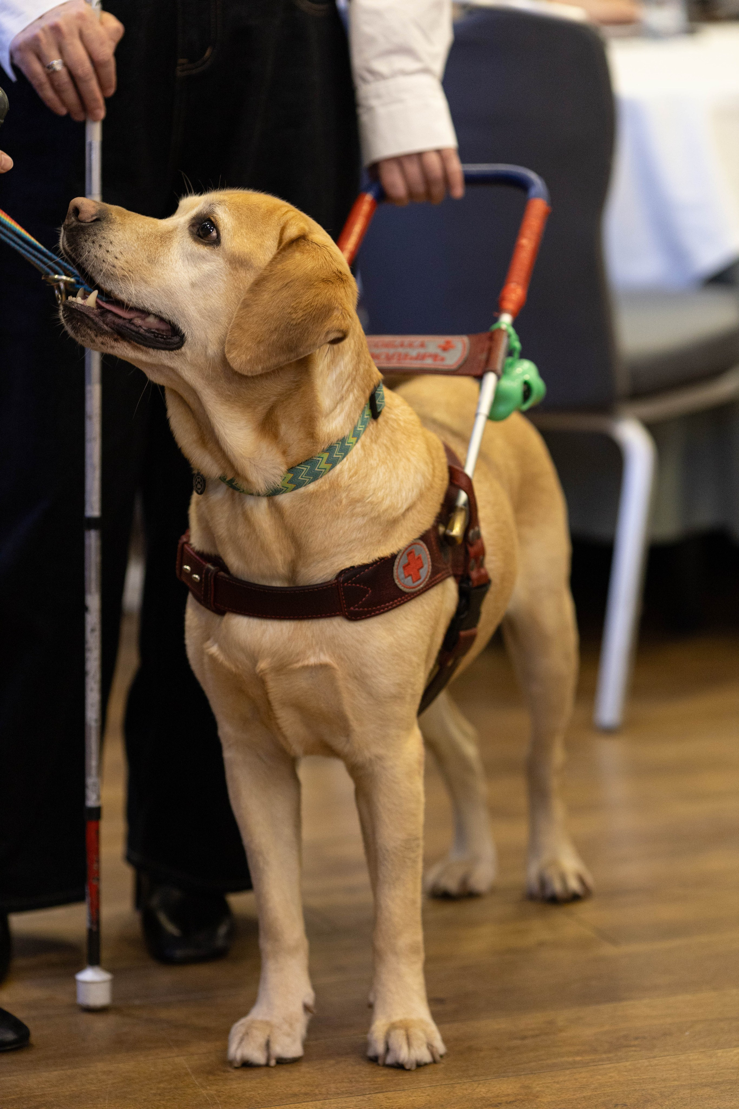 Репортажная съемка. Сайт фотографа Ксении Политовой