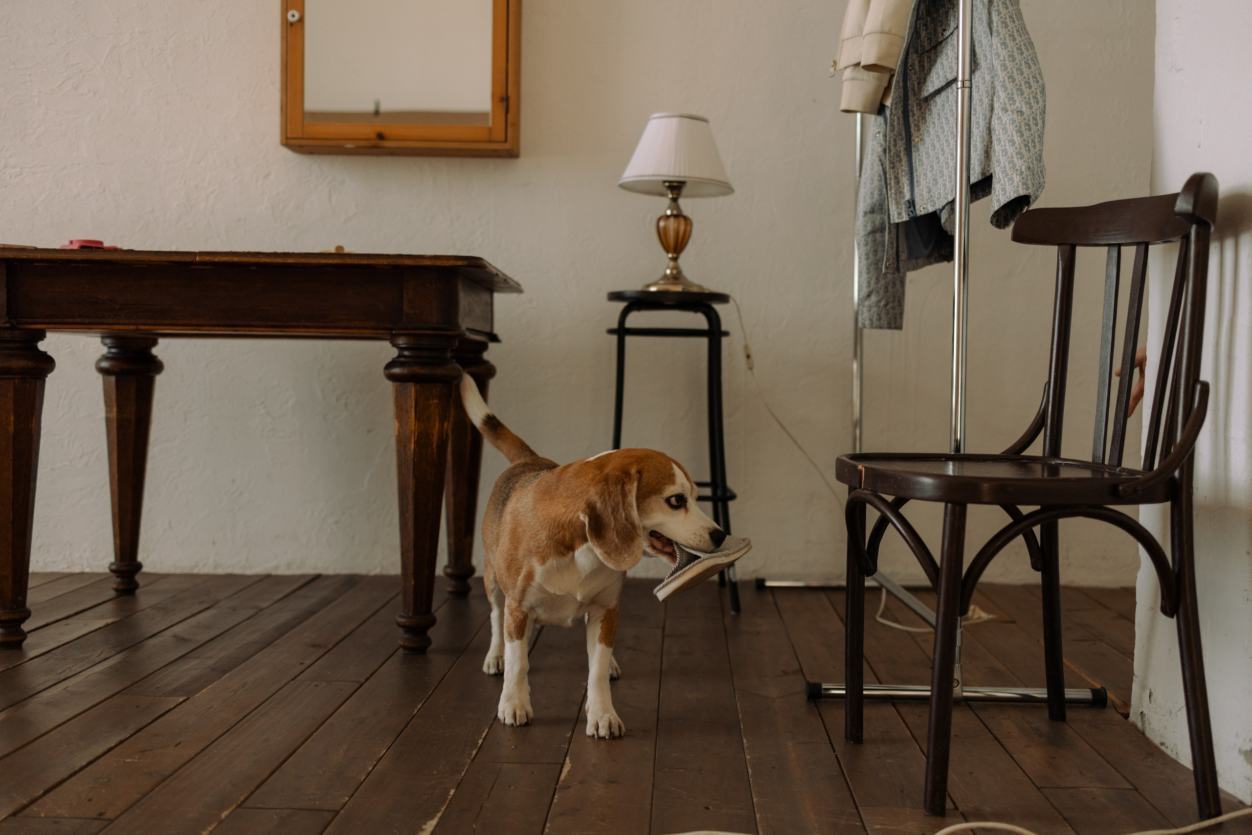 Даня и его семья. Фотограф — Анималист | Санкт-Петербург