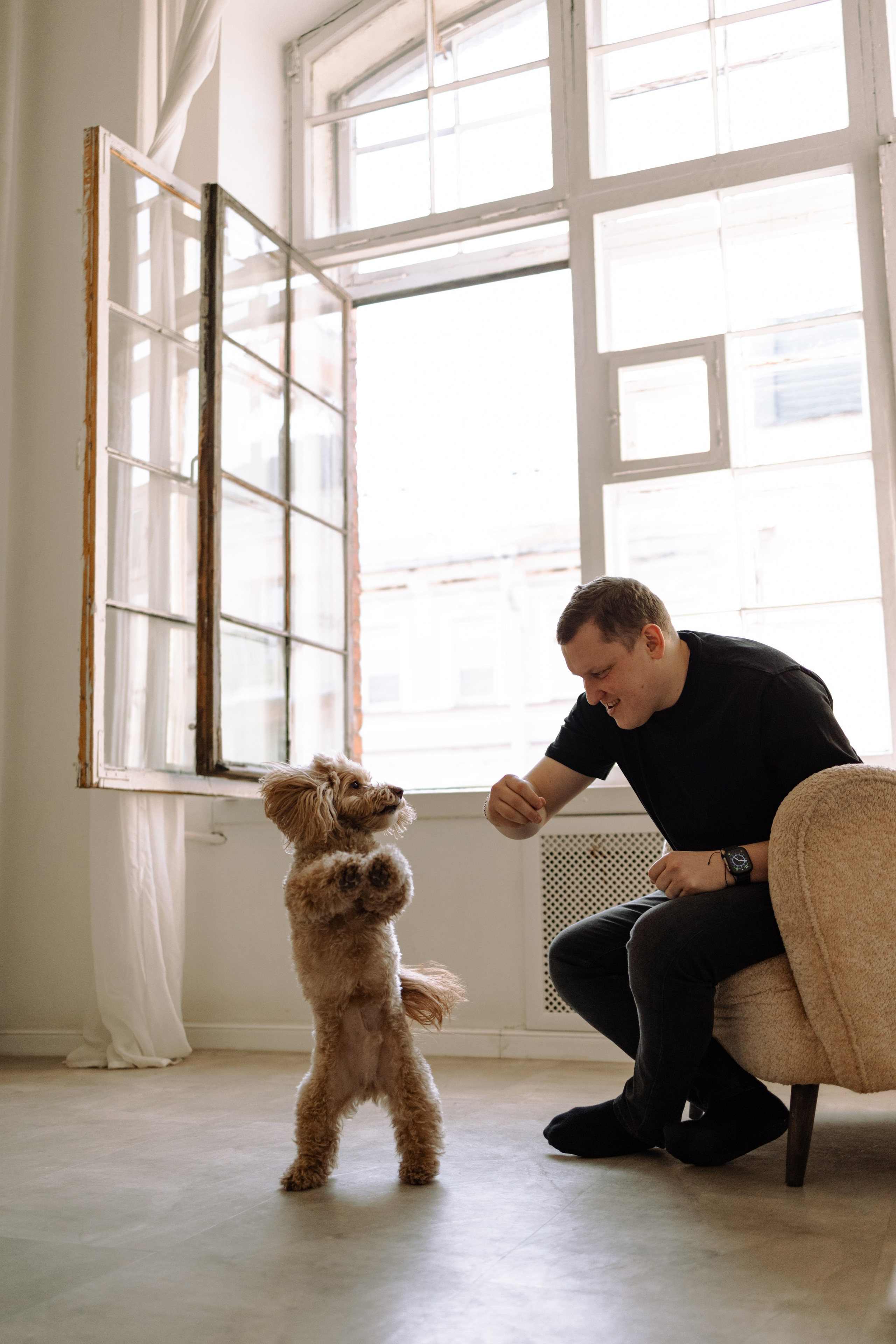 Шкипер и его семья. Фотограф — Анималист | Санкт-Петербург