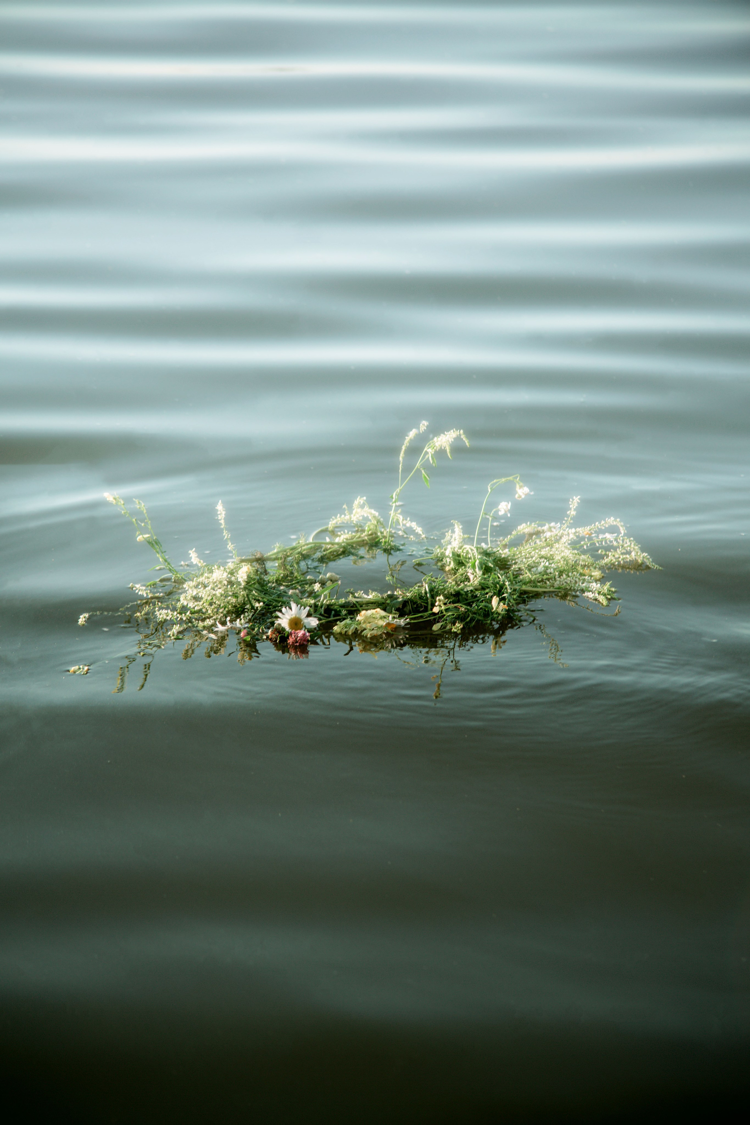 Ивана Купала. Семейный и детский фотограф в Москве Ольга Кривенцова