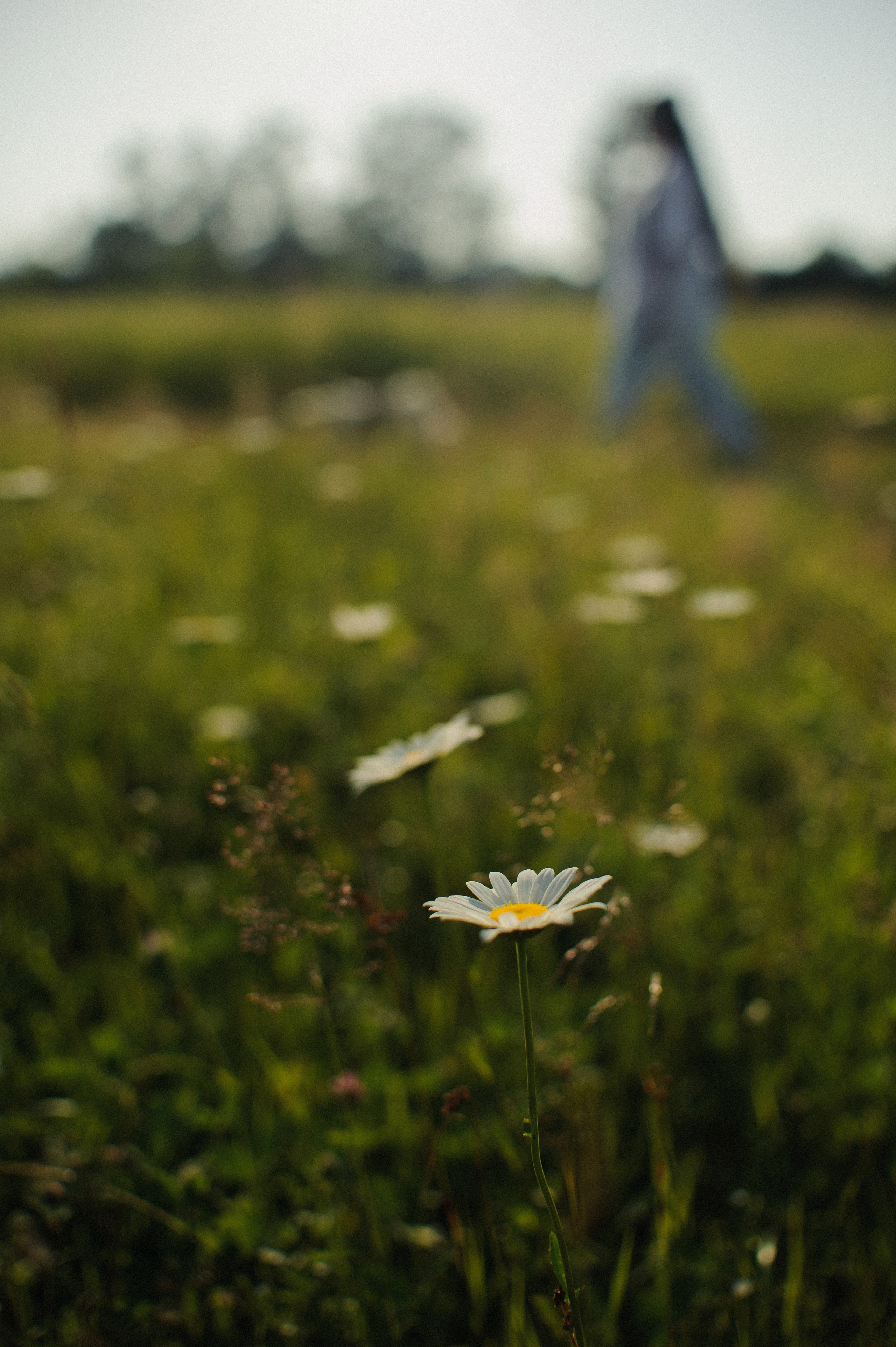 Зульфия+Даша. Фотограф в Екатеринбурге Артём Зайнетдинов