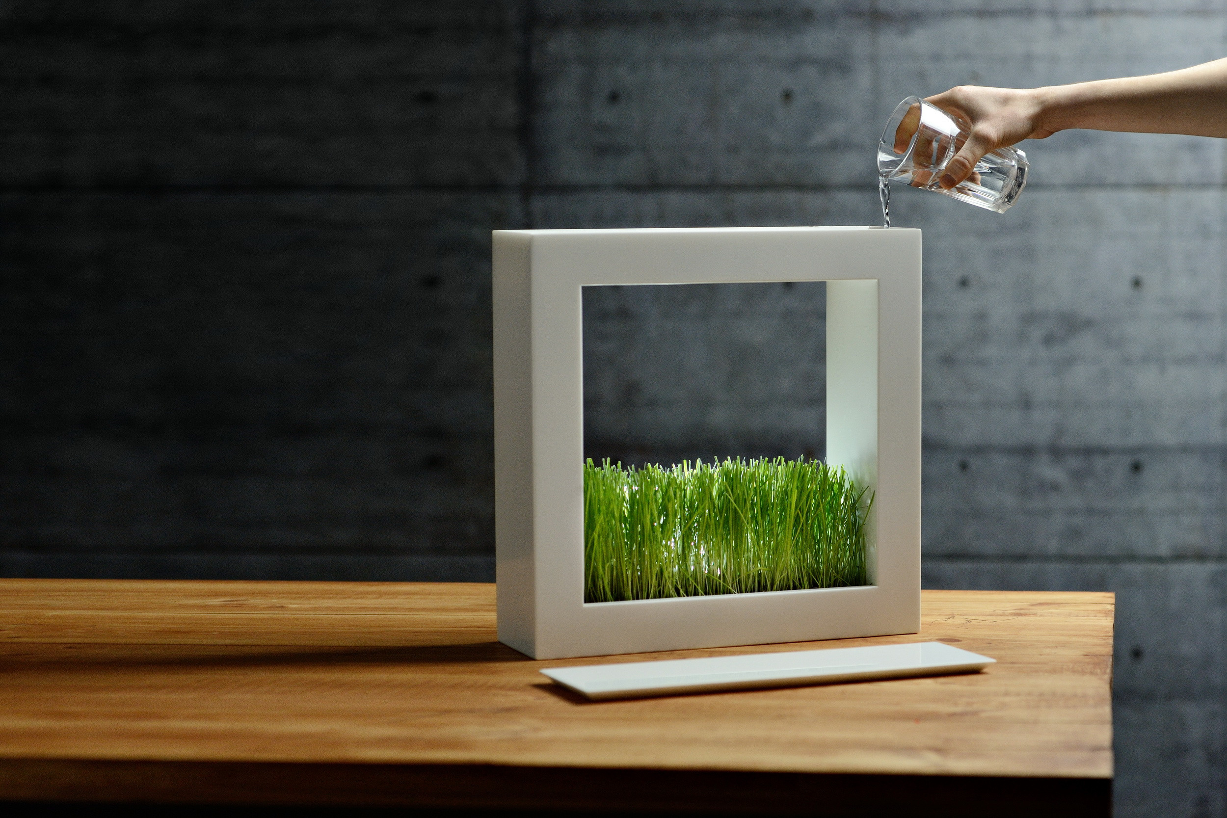 Object shooting. I have been photographing for you for more than 15 years in Minsk and