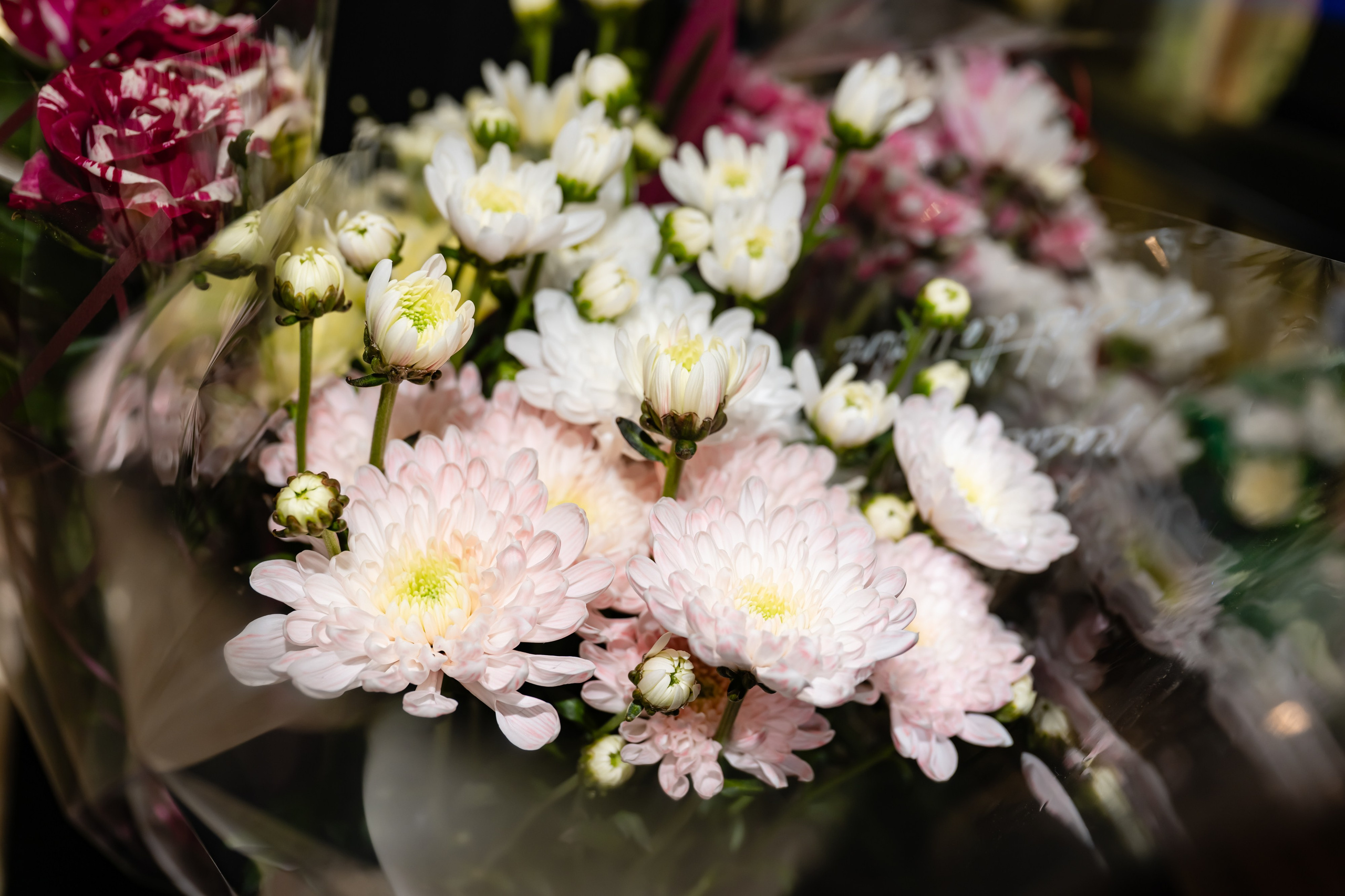 Юбилеи и Корпоративы. Студийный и свадебный фотограф и видеограф в Севастополе — Юлия Макаренко
