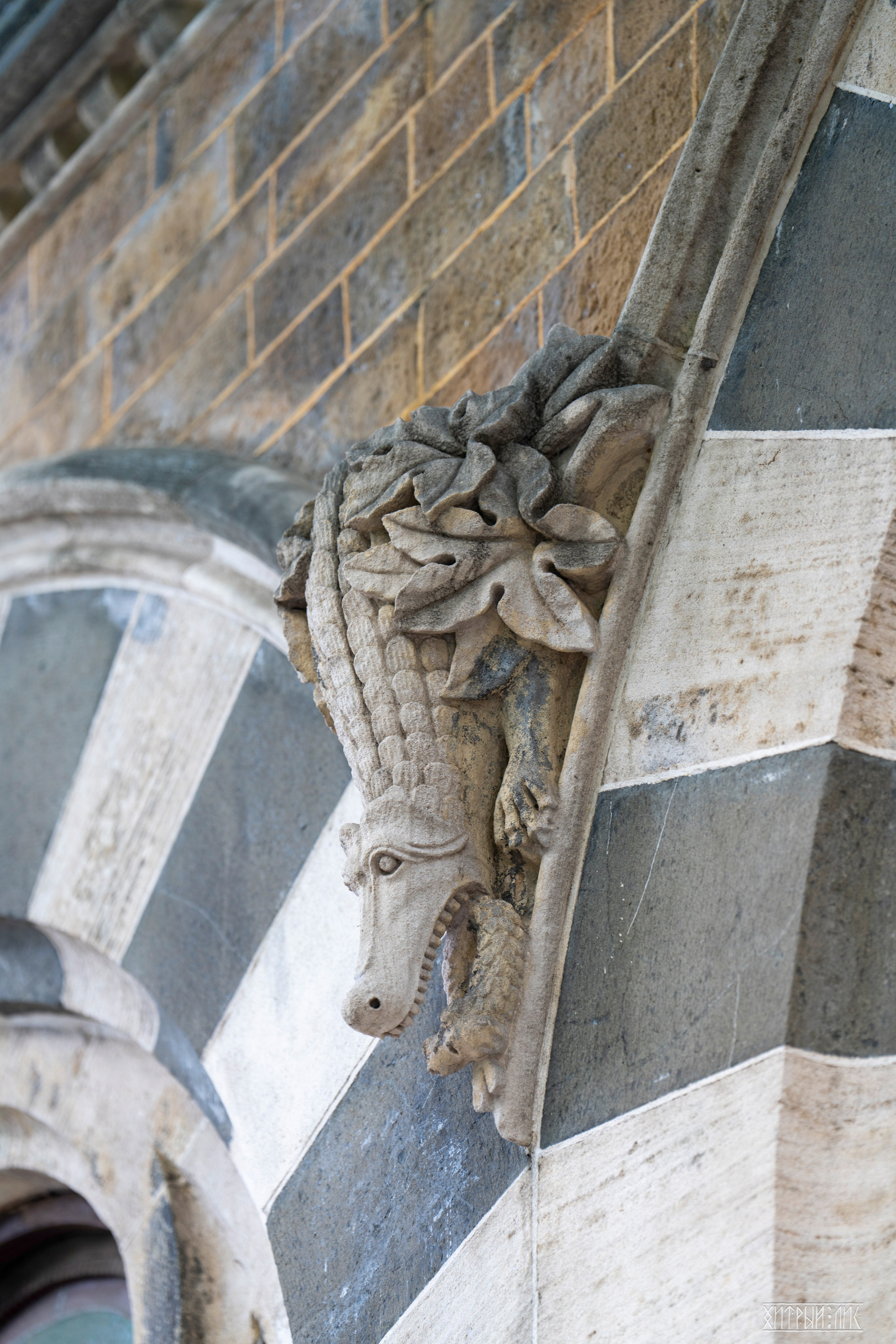 Гоа-Мумбаи. Фотограф-путешественник Самойлов Максим «Sly Fox»