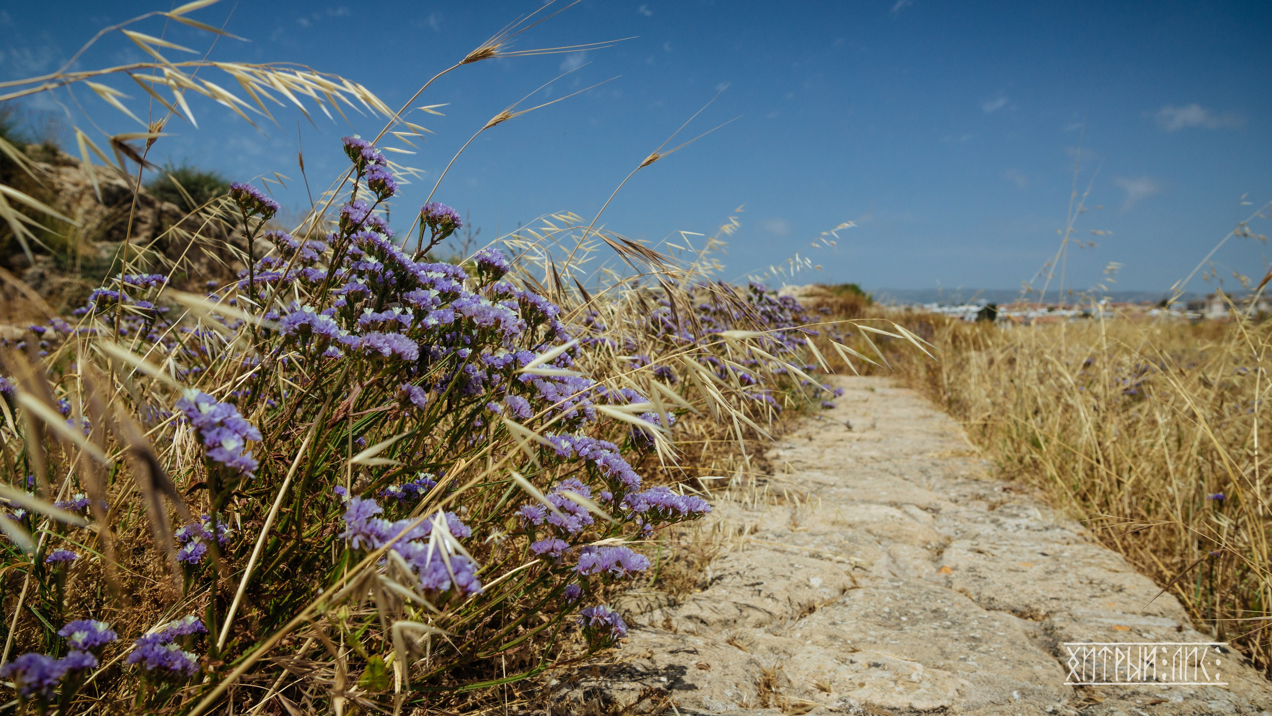 Кипр. Фотограф-путешественник Самойлов Максим «Sly Fox»