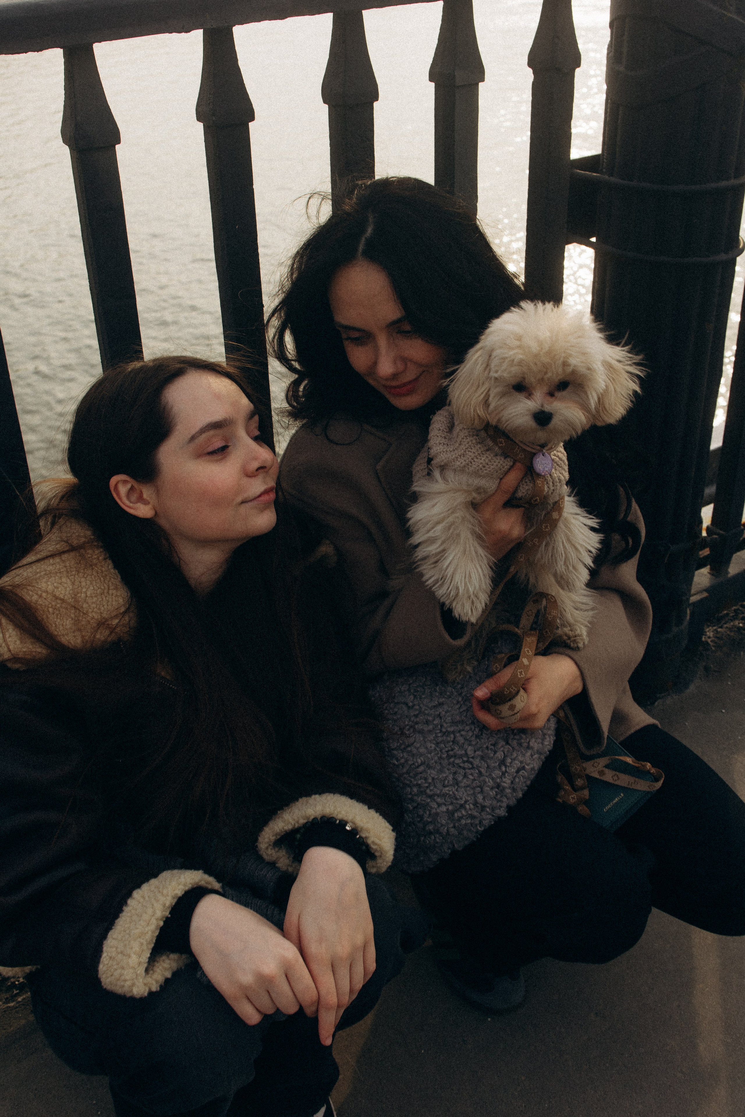 Маша, Лиза и Луна. Фотораф — анималист Мария Шистка