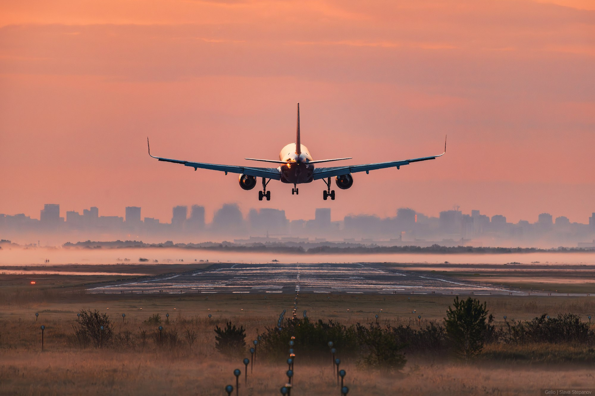 Аваиция. Фотограф Слава Степанов, Gelio