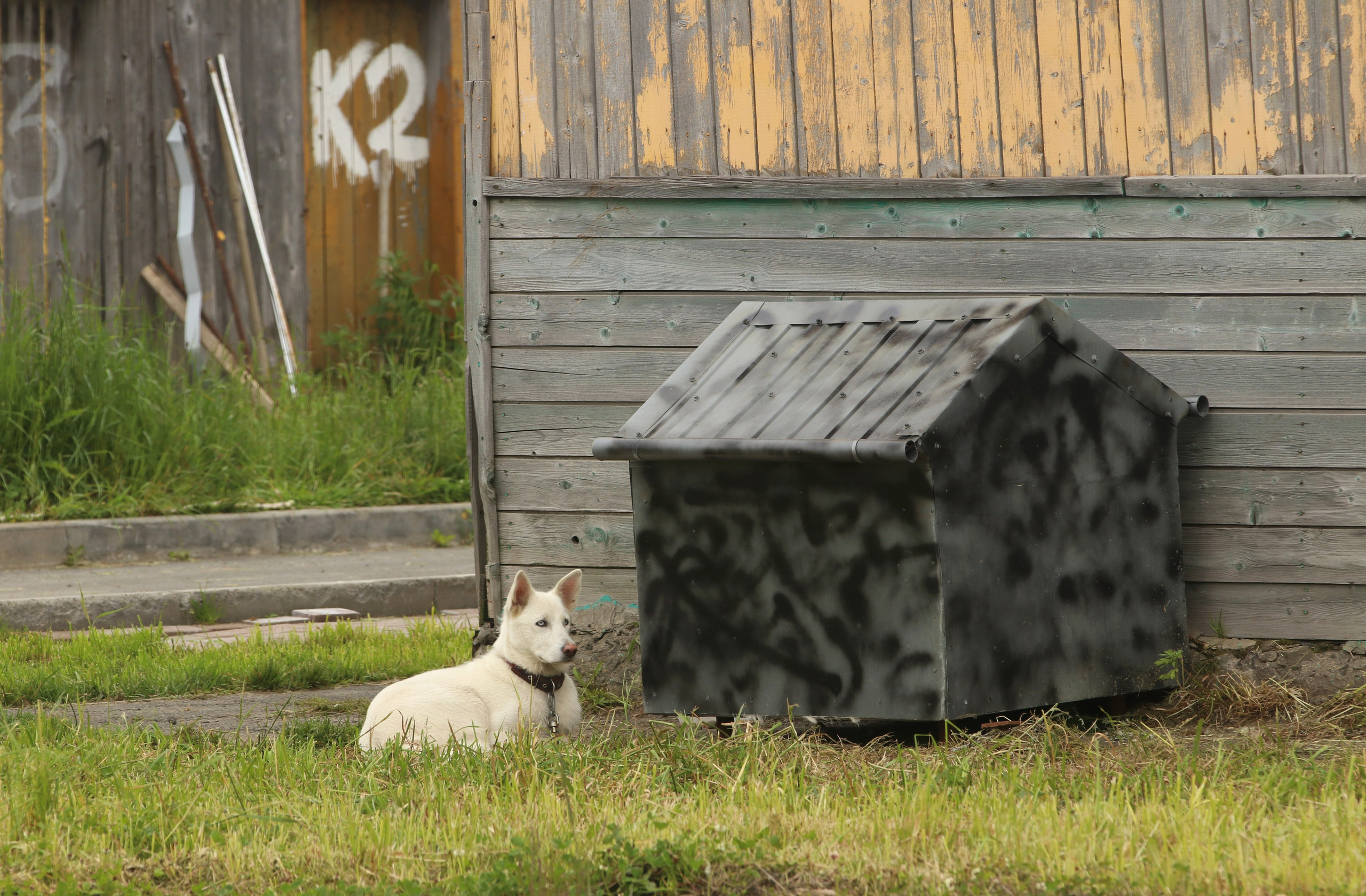 Камчатка и о. Парамушир. Июль 2024. Путешественник-фотограф из Санкт-Петербурга Татьяна Свистулина