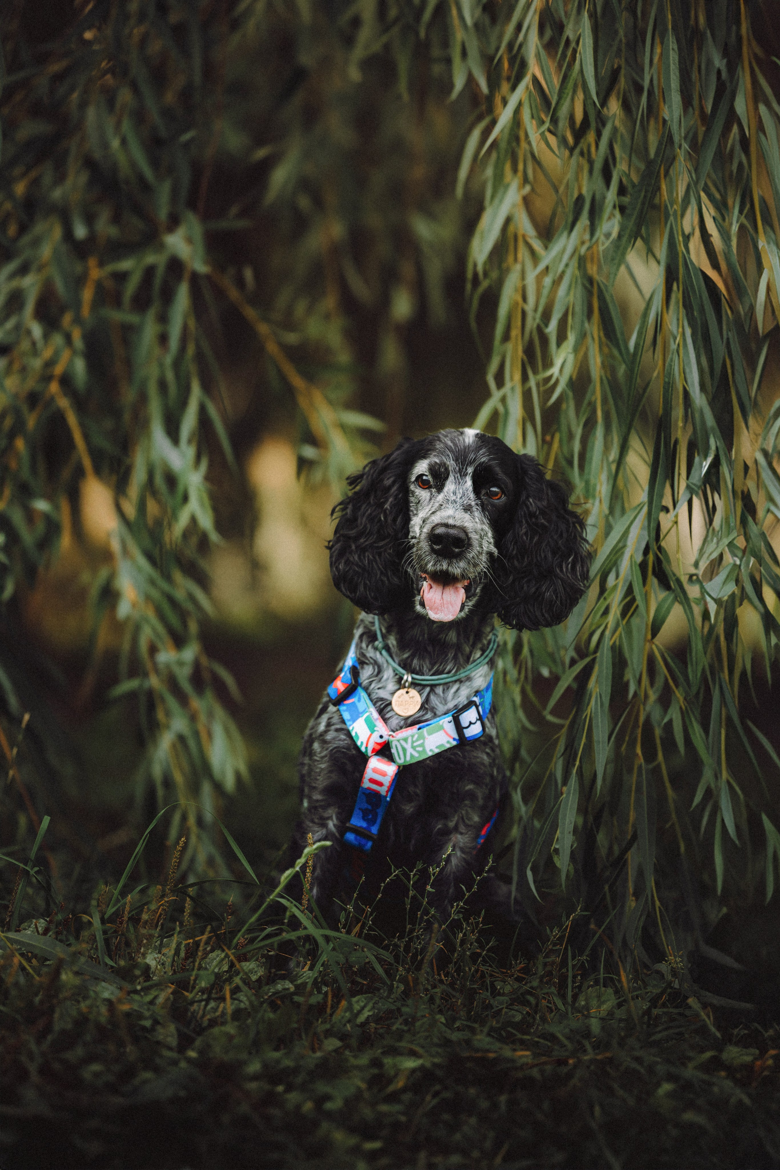 Маша и Ларри