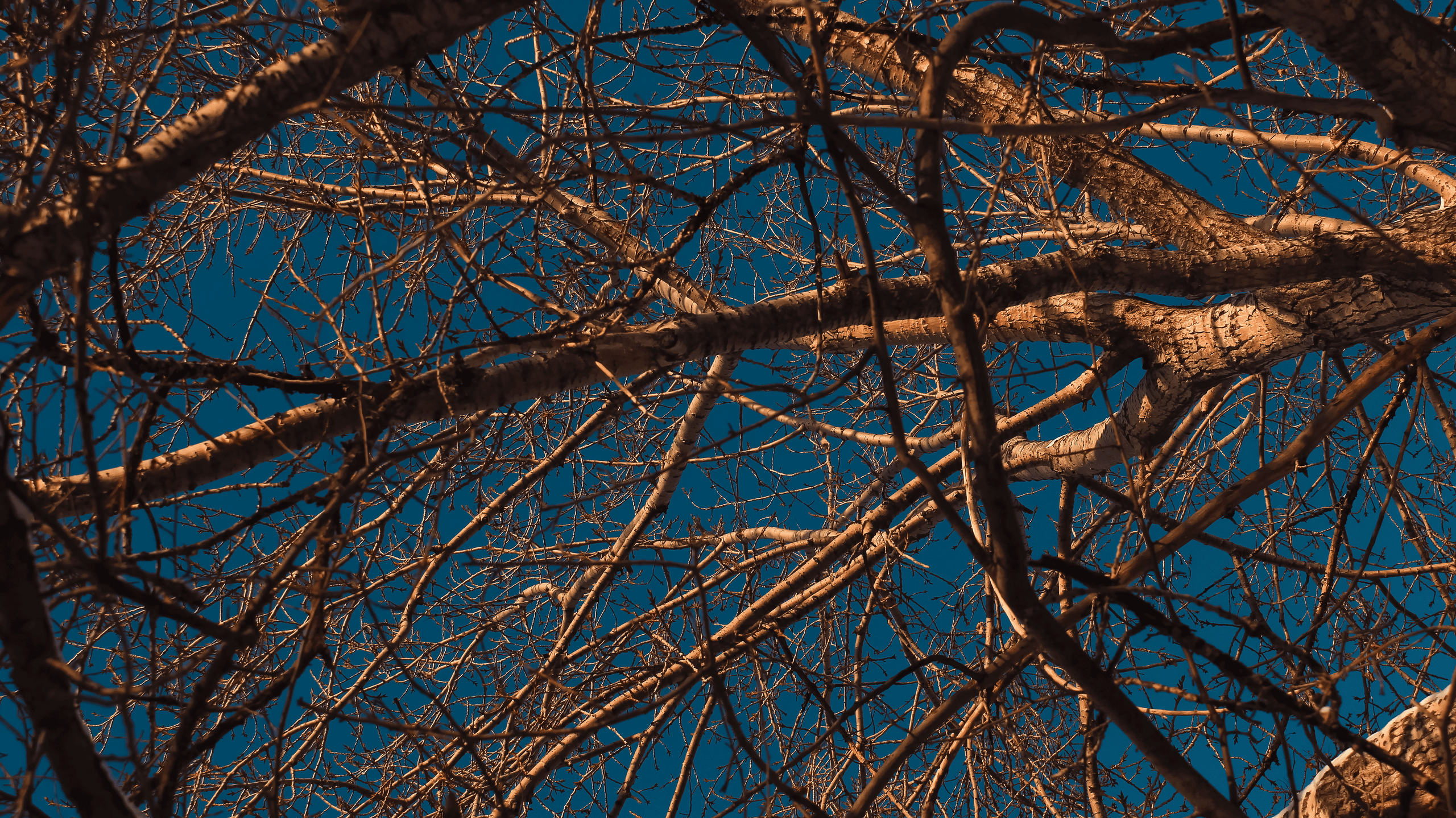 TMN winter '25 (color). Фотограф/дизайнер в Екатеринбурге Хитрый Дмитрий