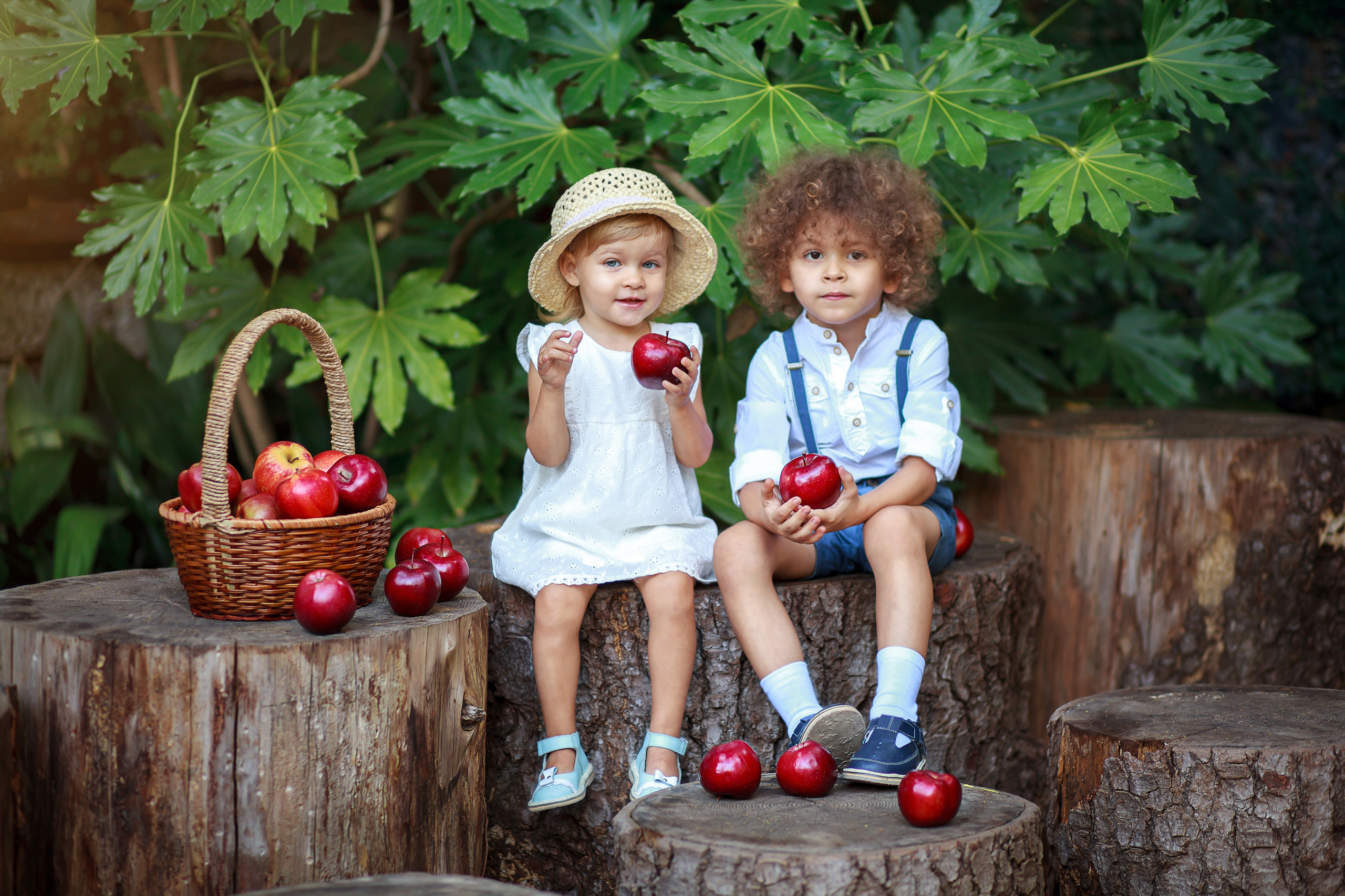 Детские фотосессии. Фотограф в городе Сочи
