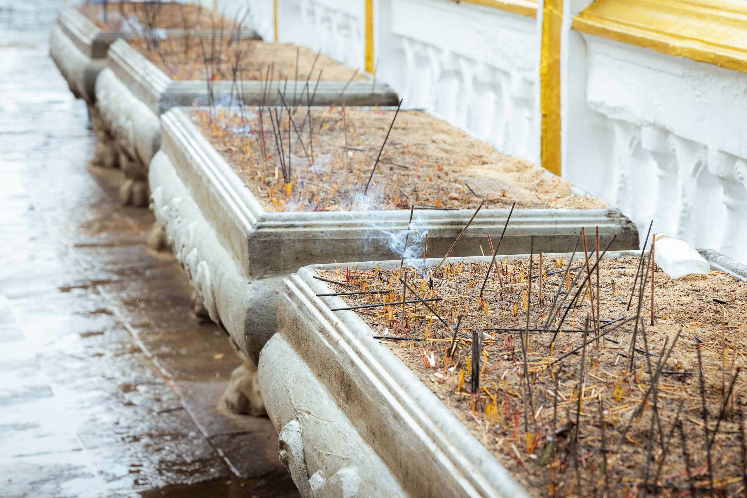 Шри-Ланка (весна 2024). Фотограф Виноградов Константин
