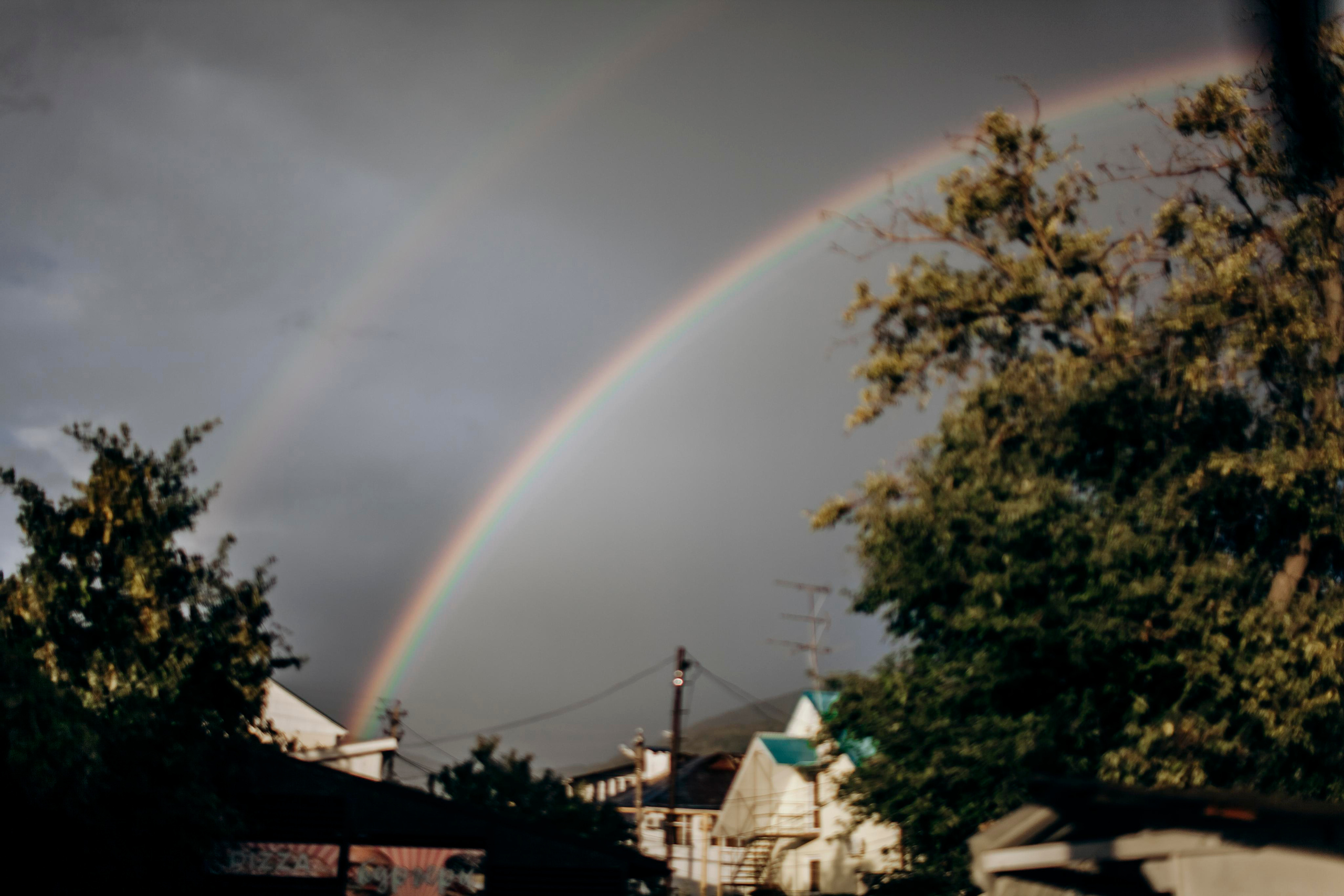 Свадебный фотограф в Сочи Эвелина Рязанова. Свадебный и семейный фотограф в Самаре и Сочи