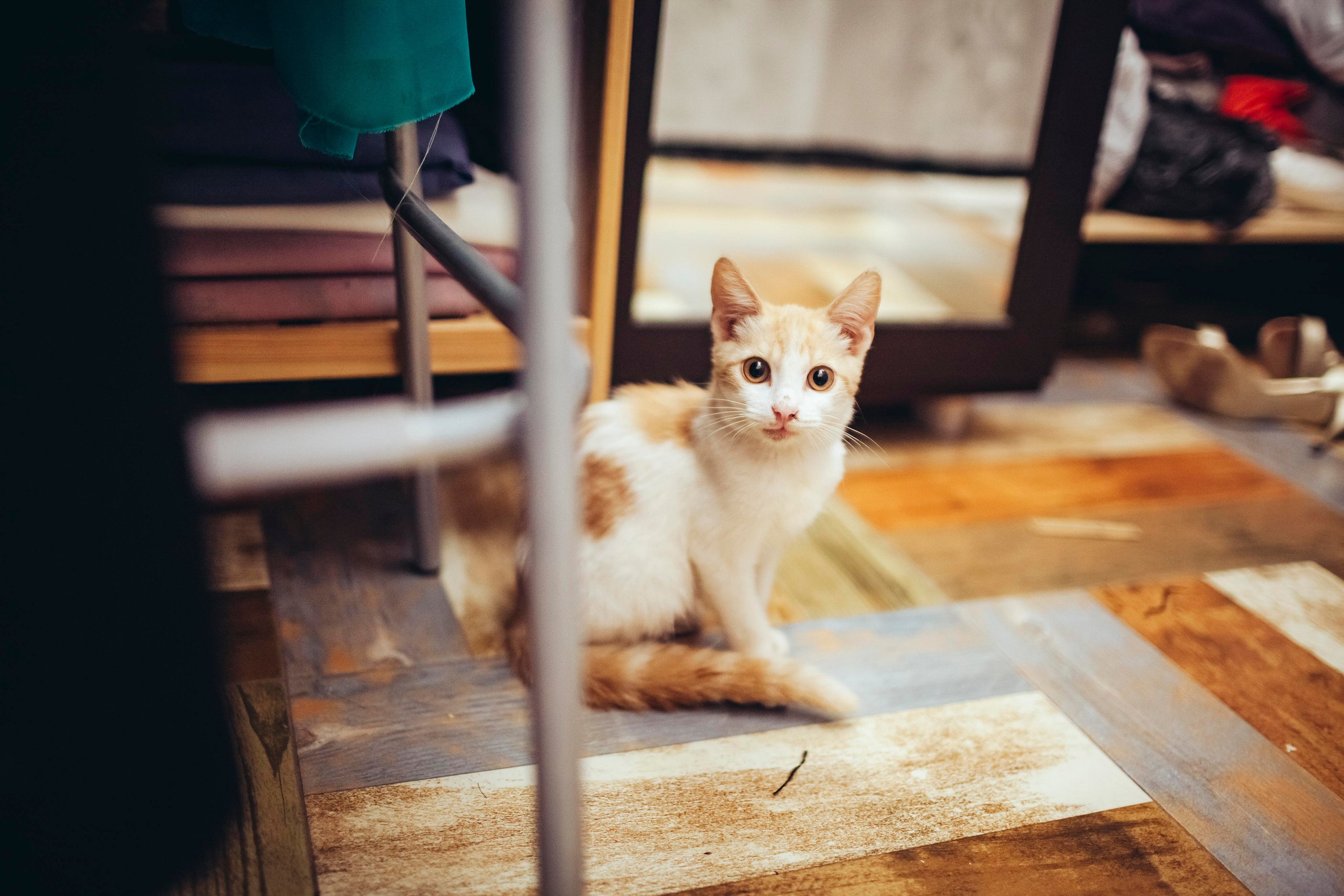 Свадьба в Абхазии. Свадебный фотограф в Абхазии. Свадебный и семейный фотограф в Самаре и Сочи