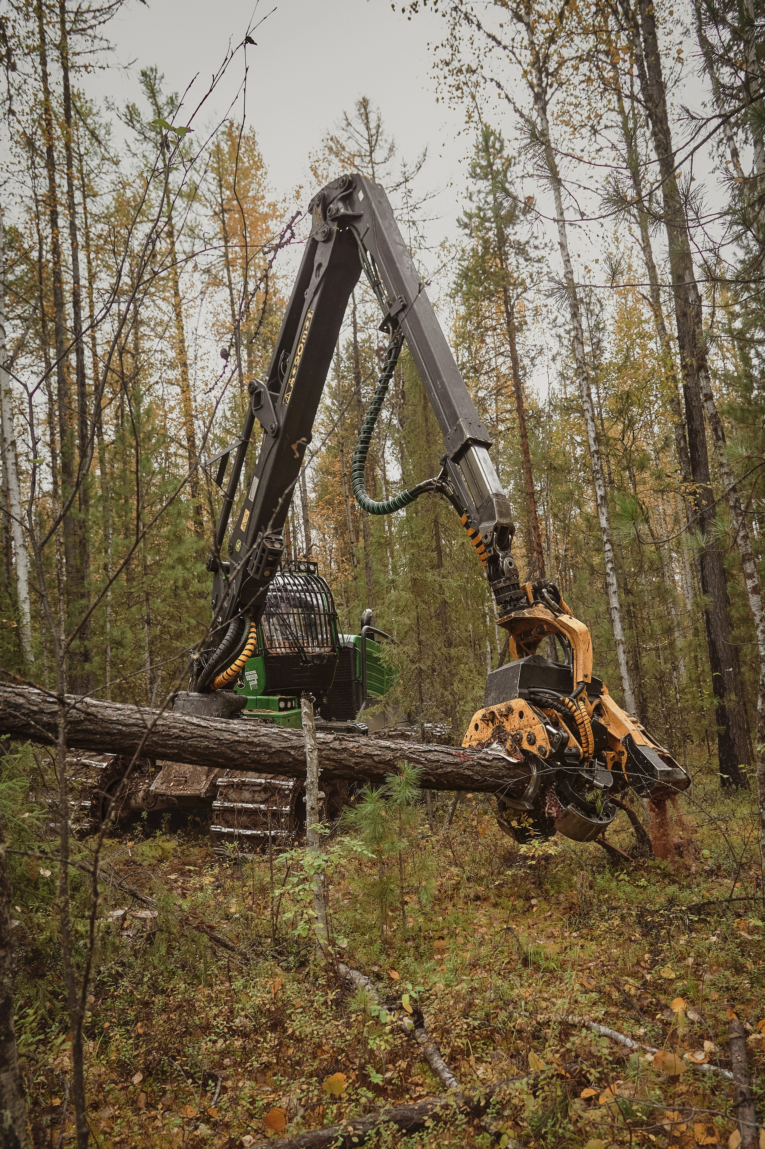 Лесозаготовка г. Мотыгино. Фотограф Яковлев Роман — Красноярск