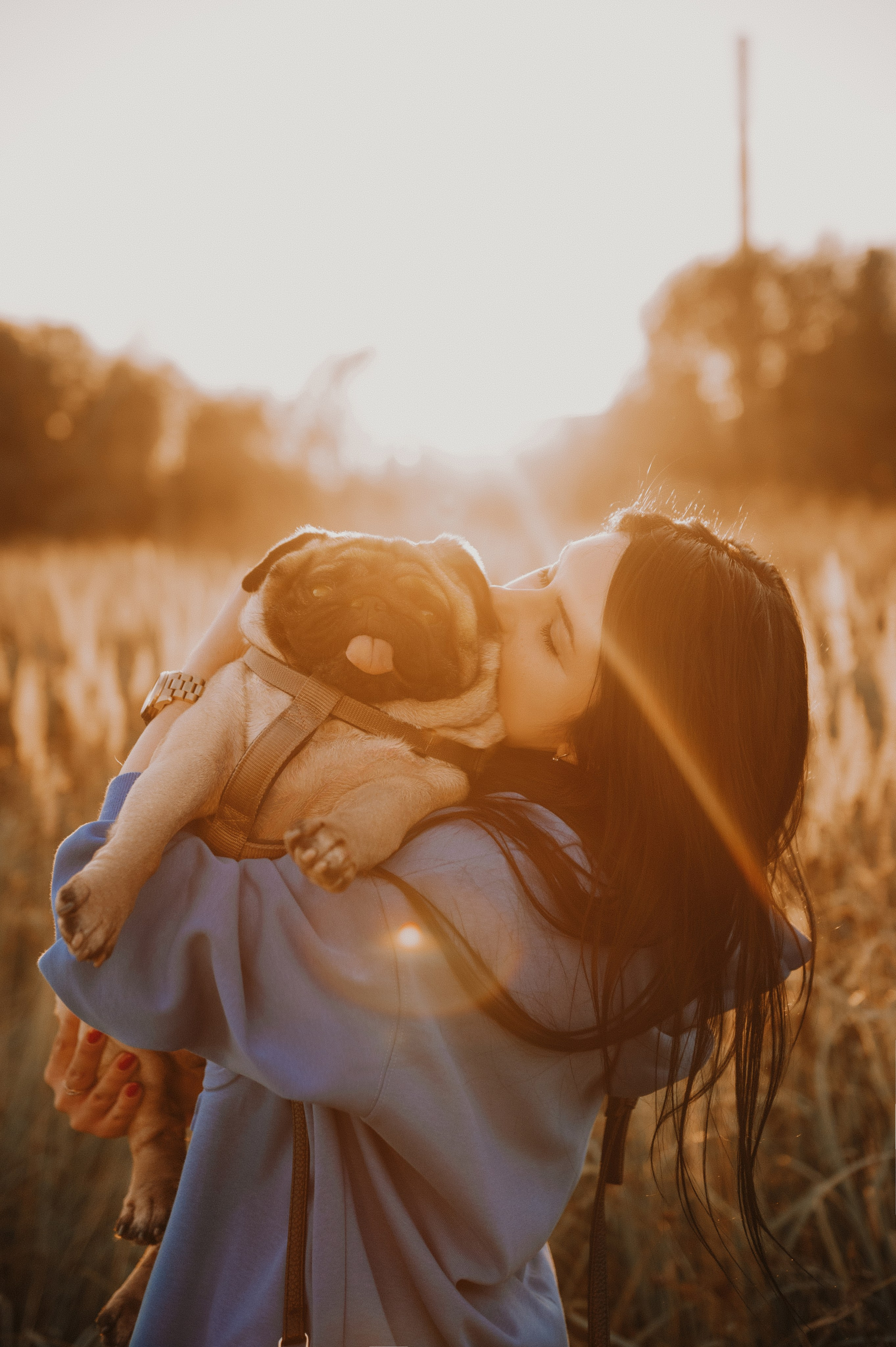 Таня и мопс Патрик (Мытищи, 2024). Анна Пушина, фотограф, Москва, Королев, Пушкино