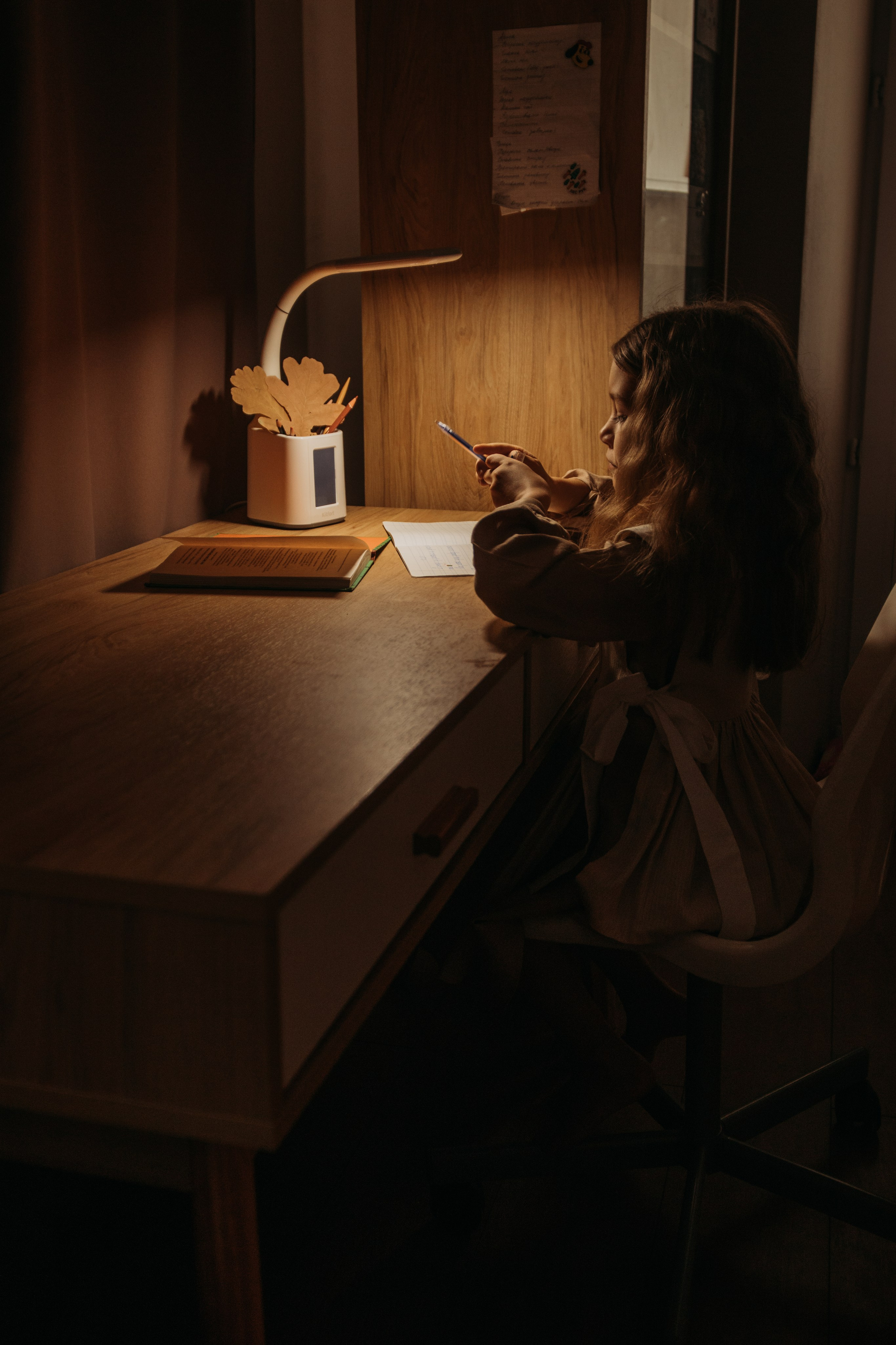 Домашняя фотосессия. Венера Гайн. Репортажный фотограф  Тюмень. Обучение фотографии с 0