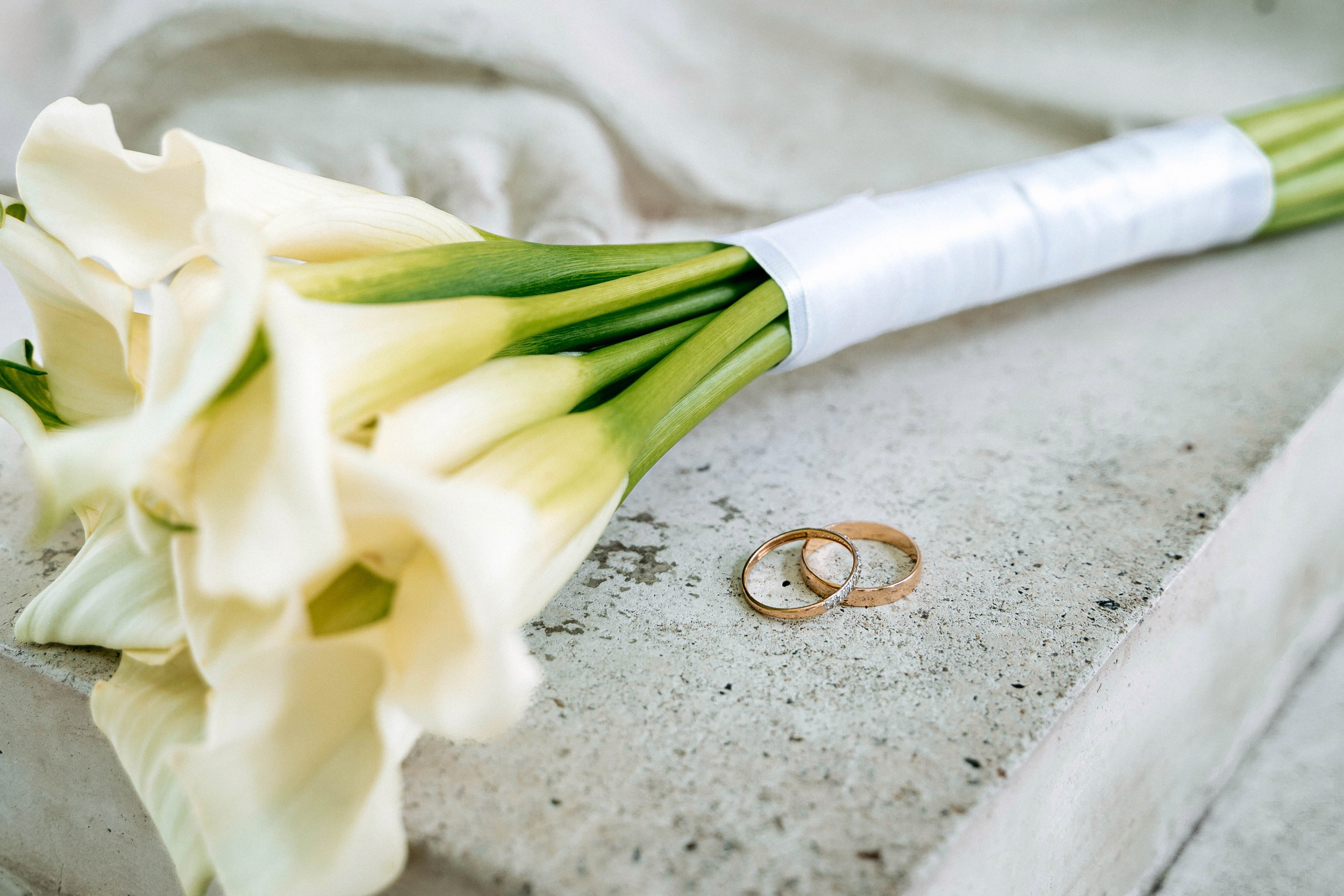 Владислав и Елизавета. Татьяна Тагель