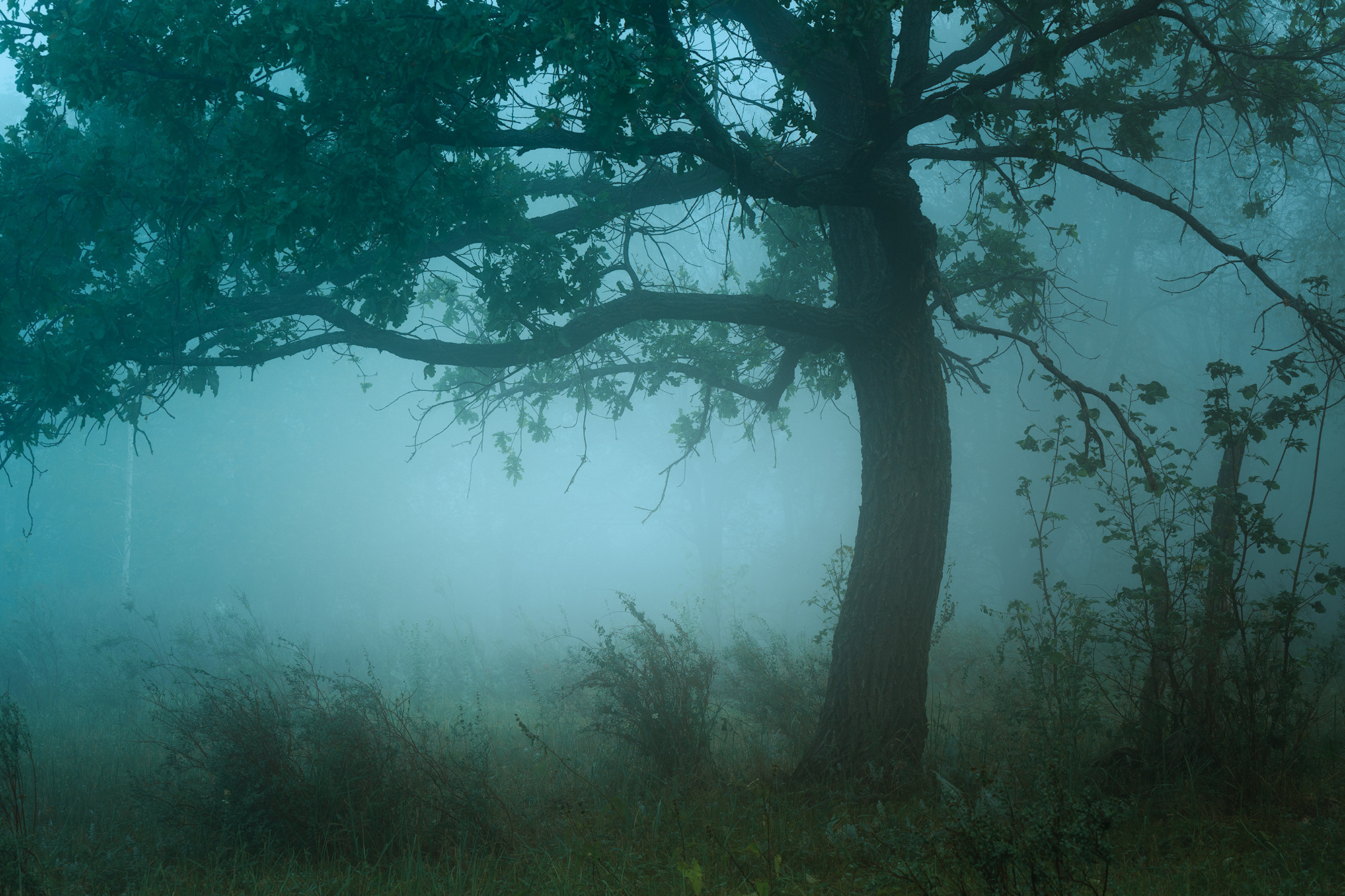 Пейзажный фотограф Руслан Лукманов