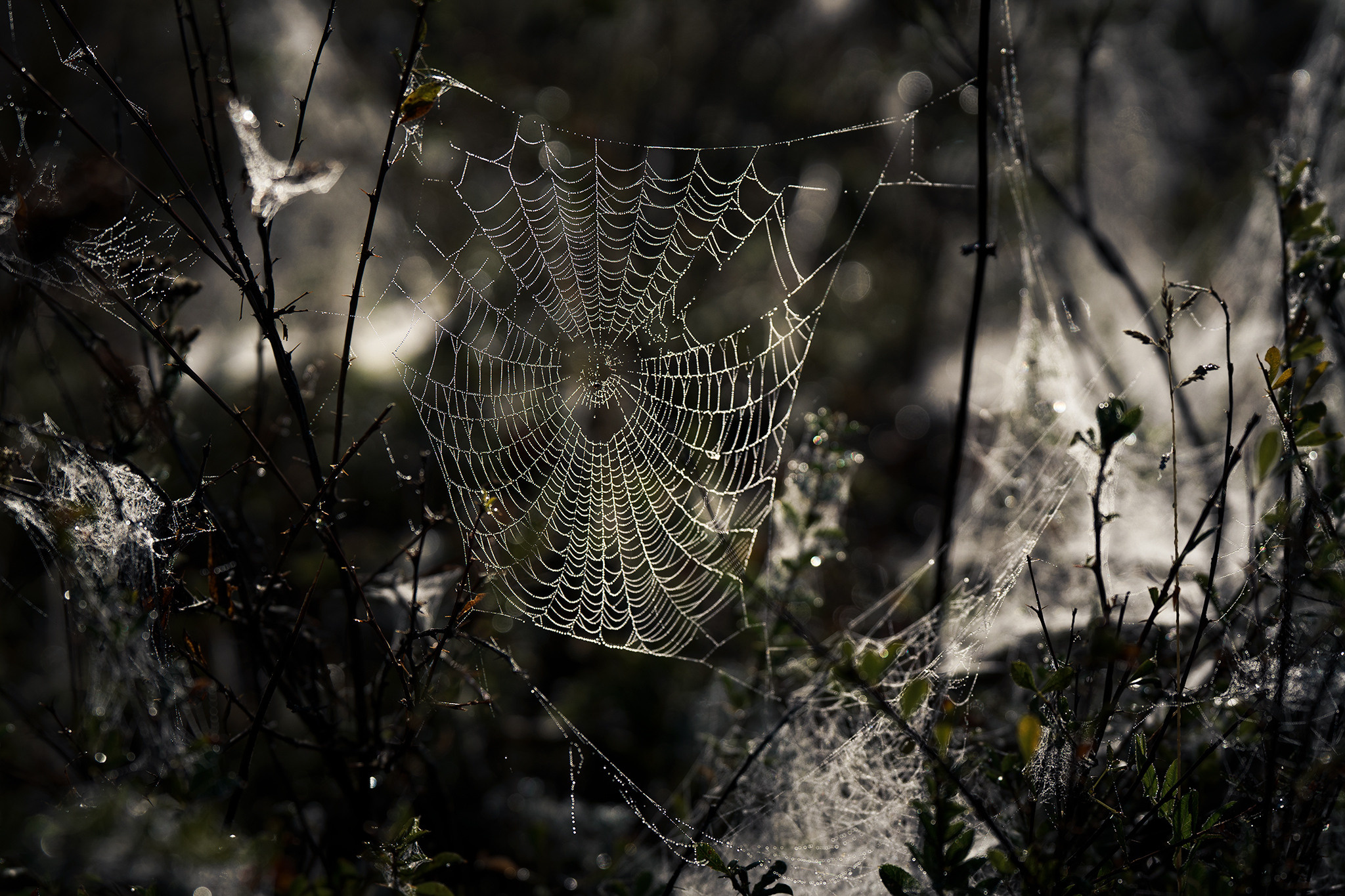 Пейзажный фотограф Руслан Лукманов