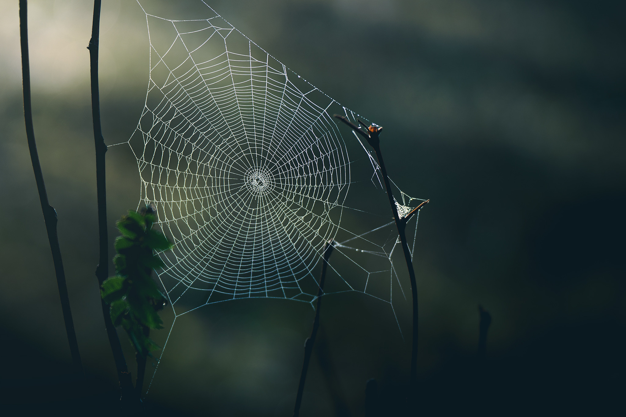 Пейзажный фотограф Руслан Лукманов