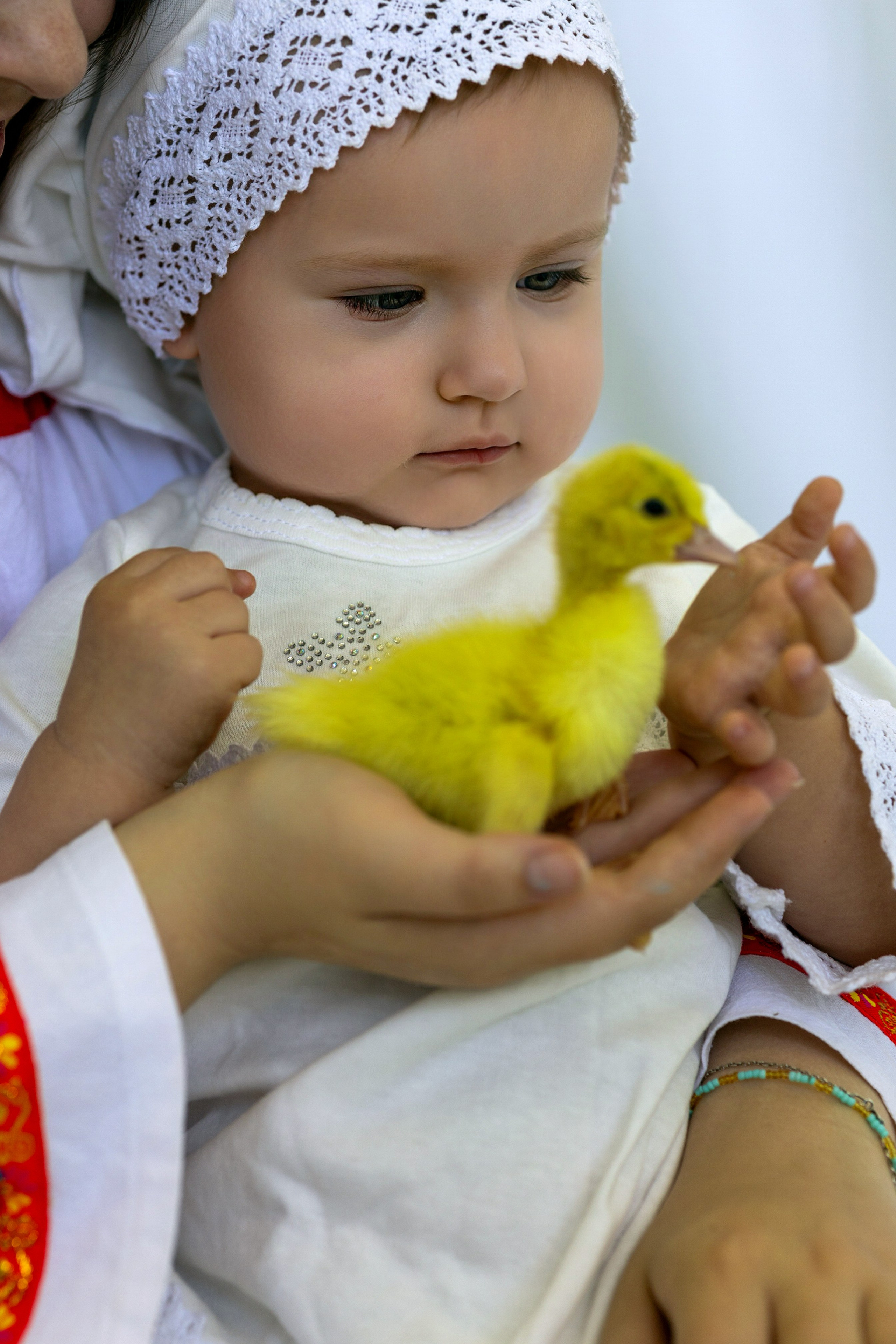 Оливия 07.04.2025. Анна Чердак — фотограф станица Тбилисская, Кропоткин, Краснодар, Майкоп