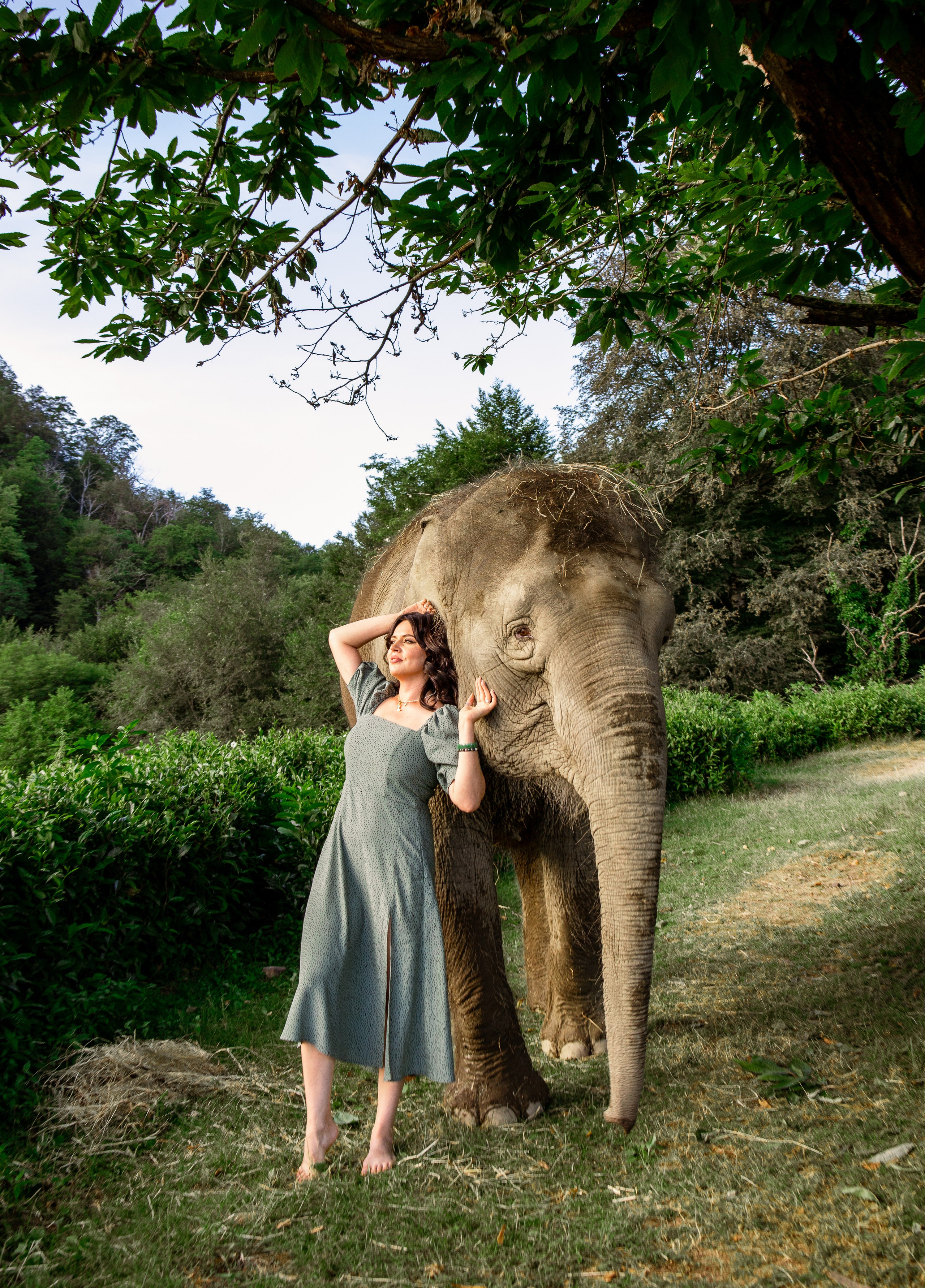 Слоны. Семейный и Свадебный фотограф в Сочи