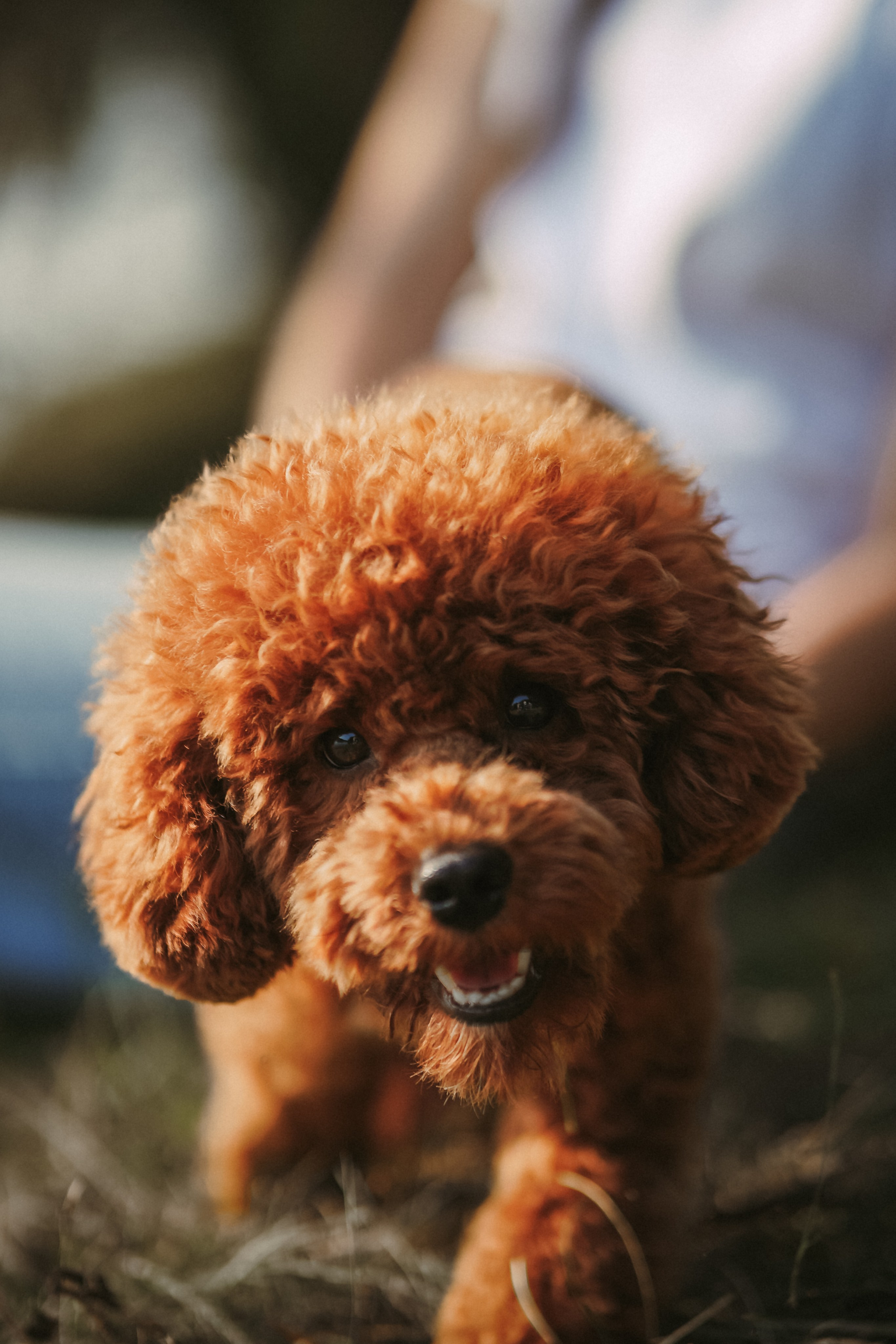 Верность. Фотограф Москва