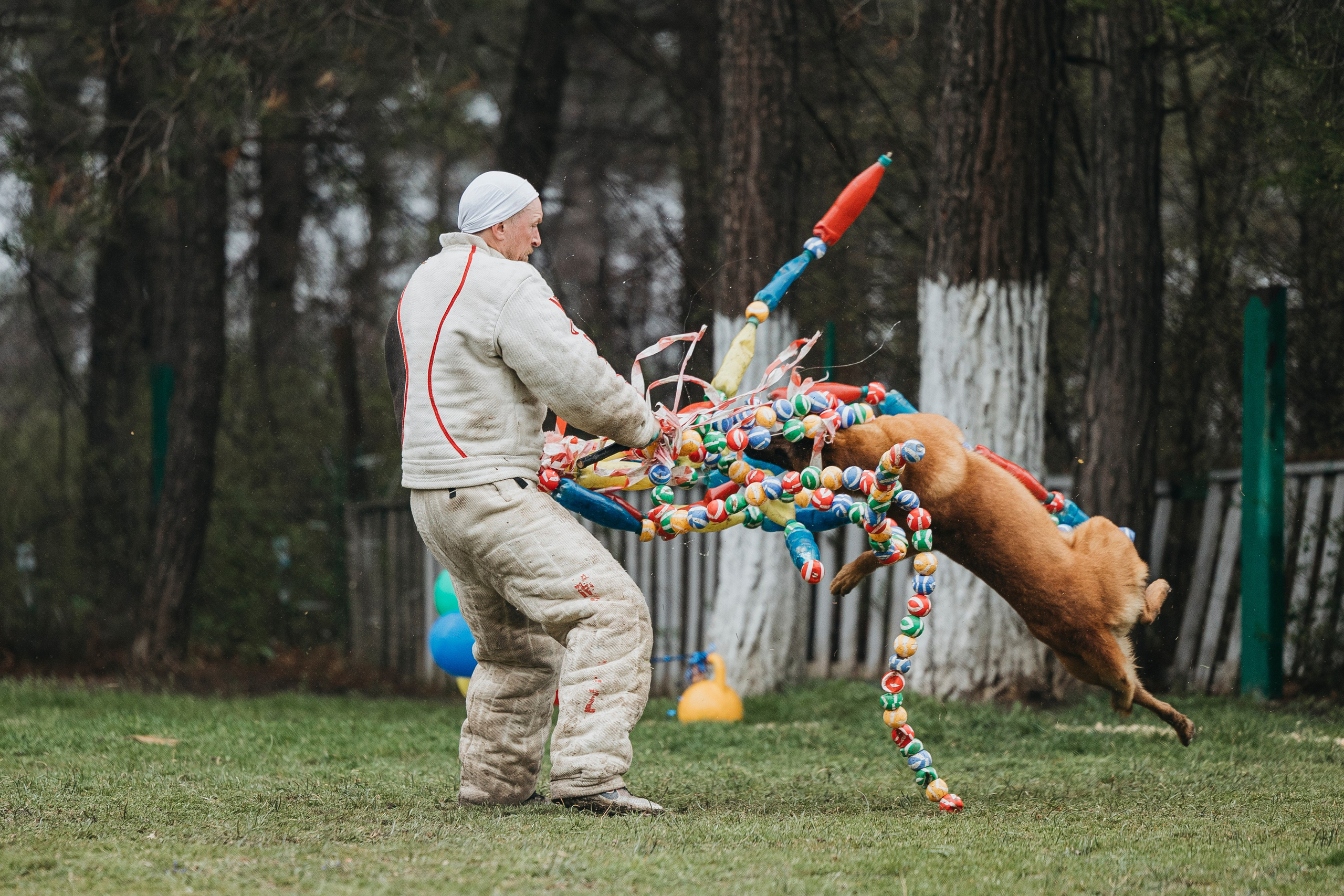 Геленджик Мондьоринг. Фотограф-анималист Анна Маринич