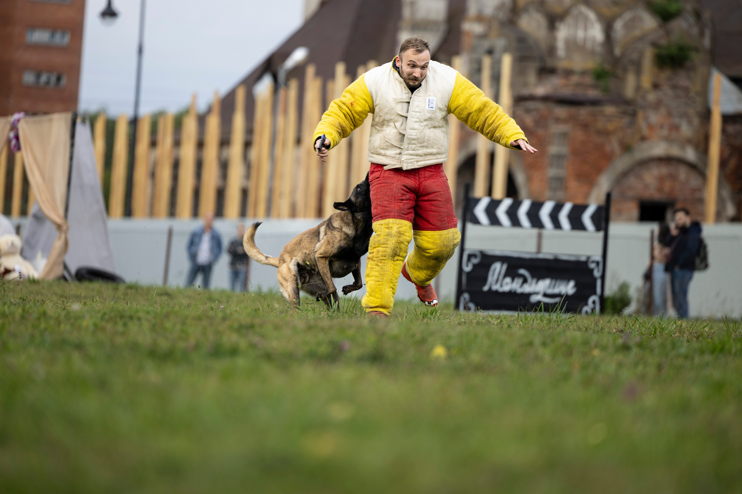 Испытания по Мондьорингу г. Пушкин. Фотограф-анималист Анна Маринич