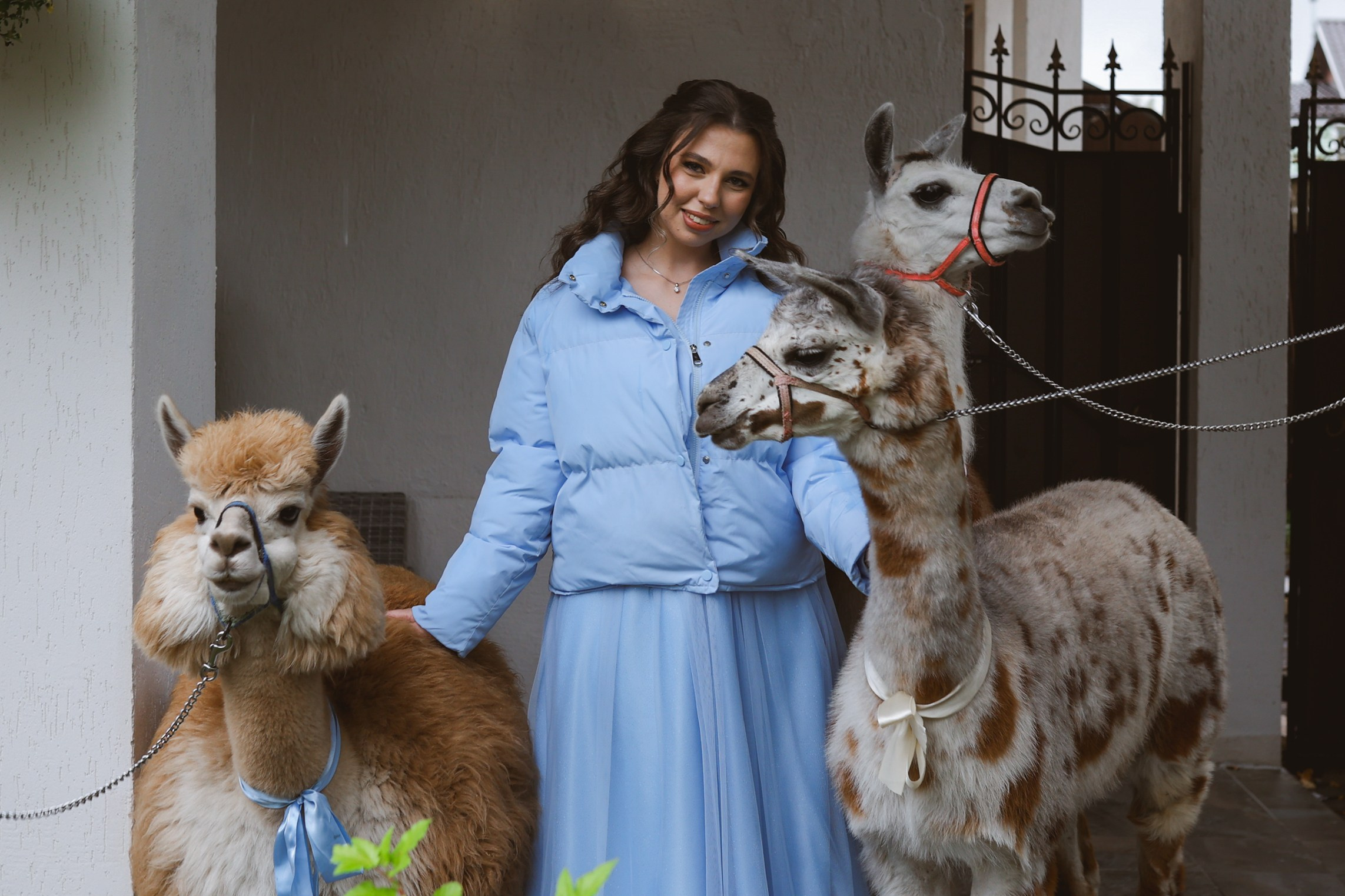 Зеленоградский ЗАГС. Свадебный фотограф Курзина Ольга | Москва
