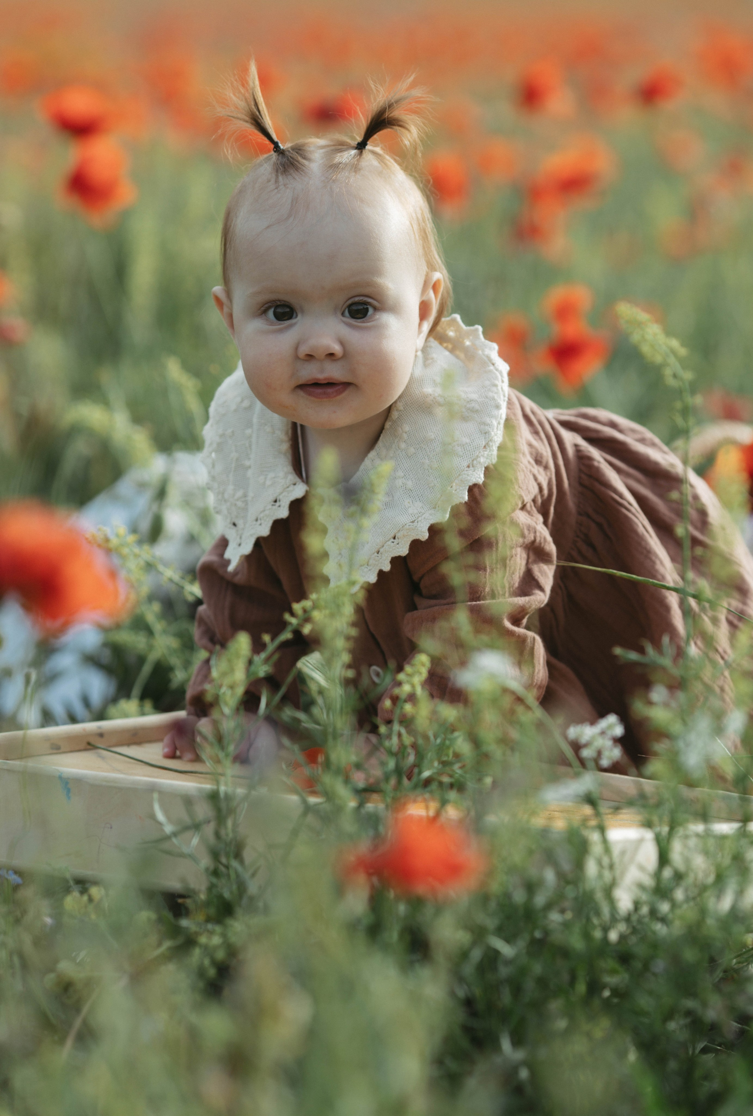Годик на природе. Фотограф новорожденных и семей с детьми Севастополь