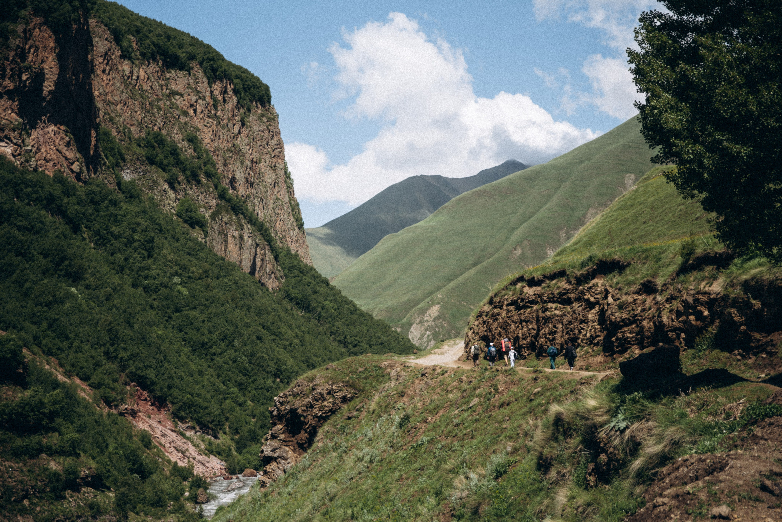 Долина Трусо, Грузия🇬🇪«Honey Trip». Anita_photo