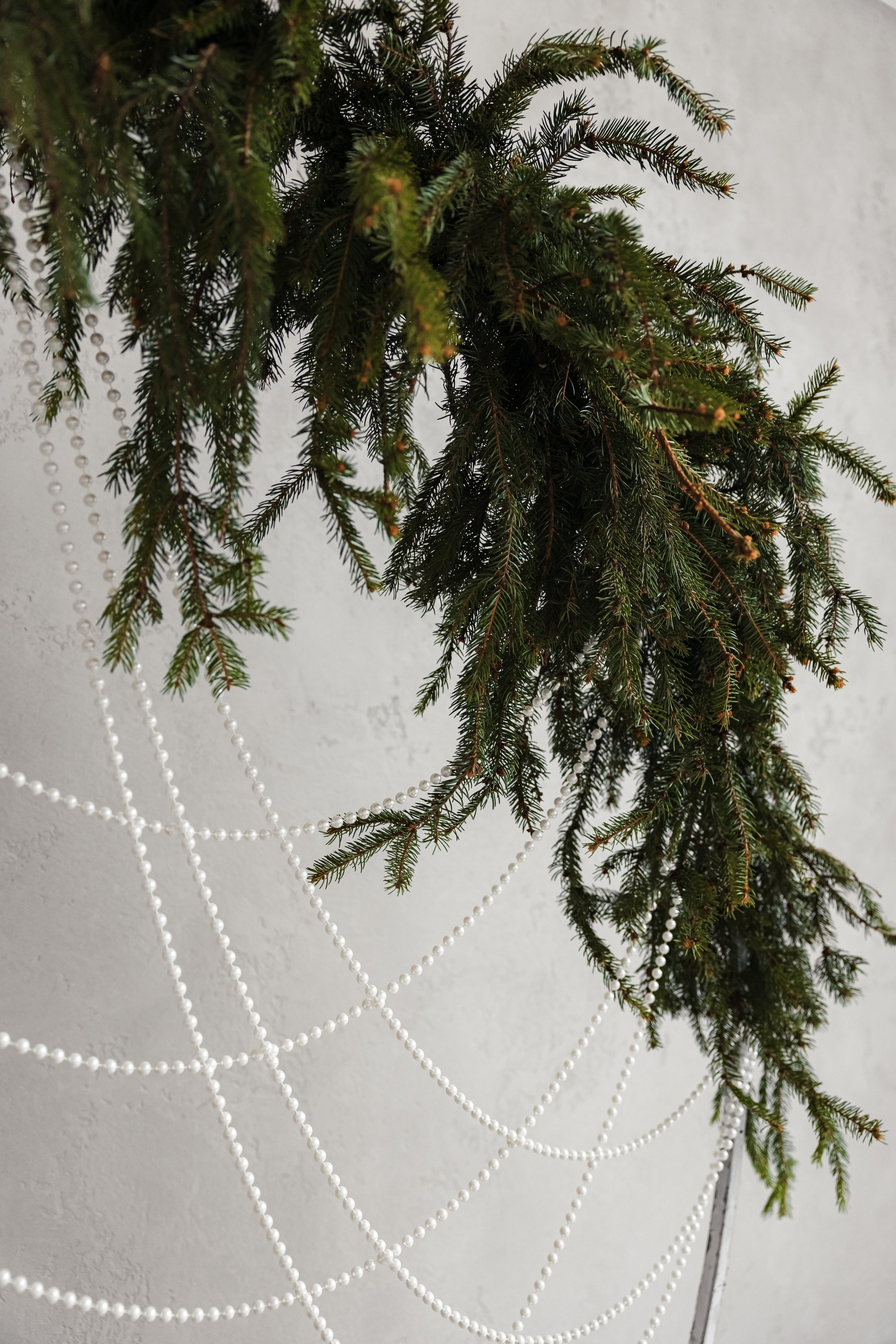 НОВЫЙ ГОД 2026. МАРГАРИТА КУДРЯШОВА СВАДЕБНЫЙ И СЕМЕЙНЫЙ ФОТОГРАФ ТВЕРЬ МОСКВА