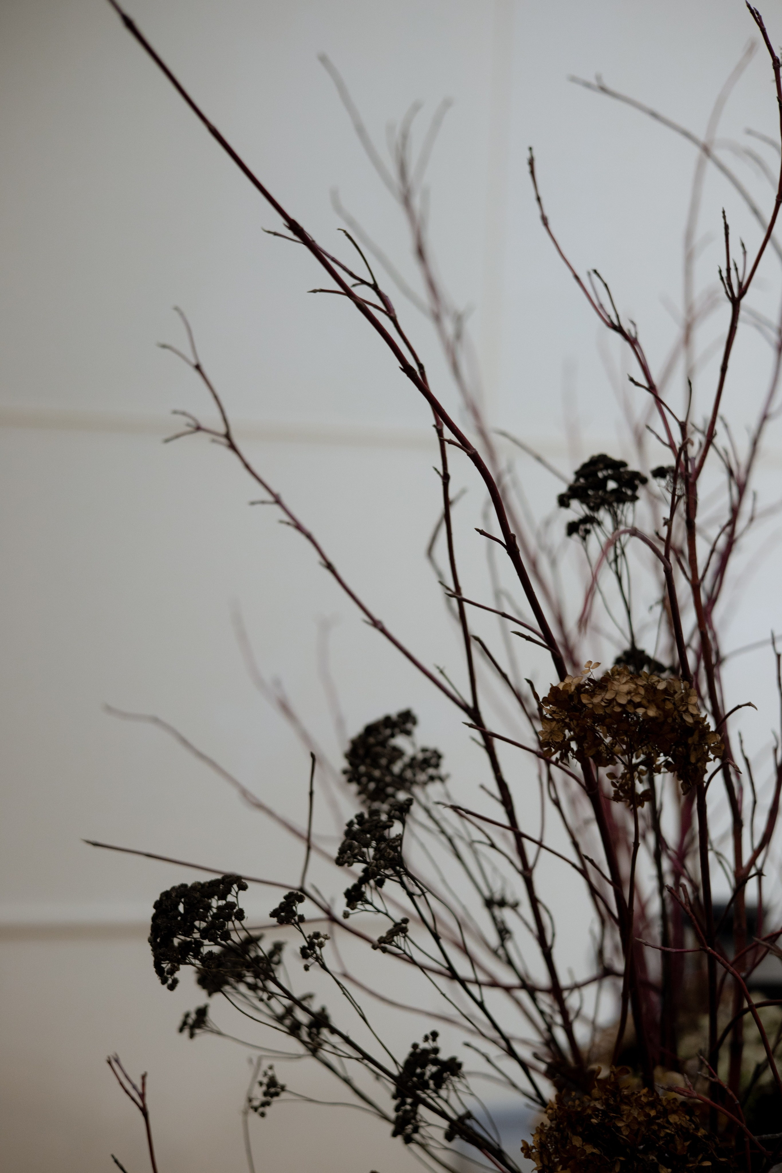 Оформление IX Международного конкурса пианистов имени Д. Д. Шостаковича. Оформление свадеб, декор свадеб Вера Маркова, Москва