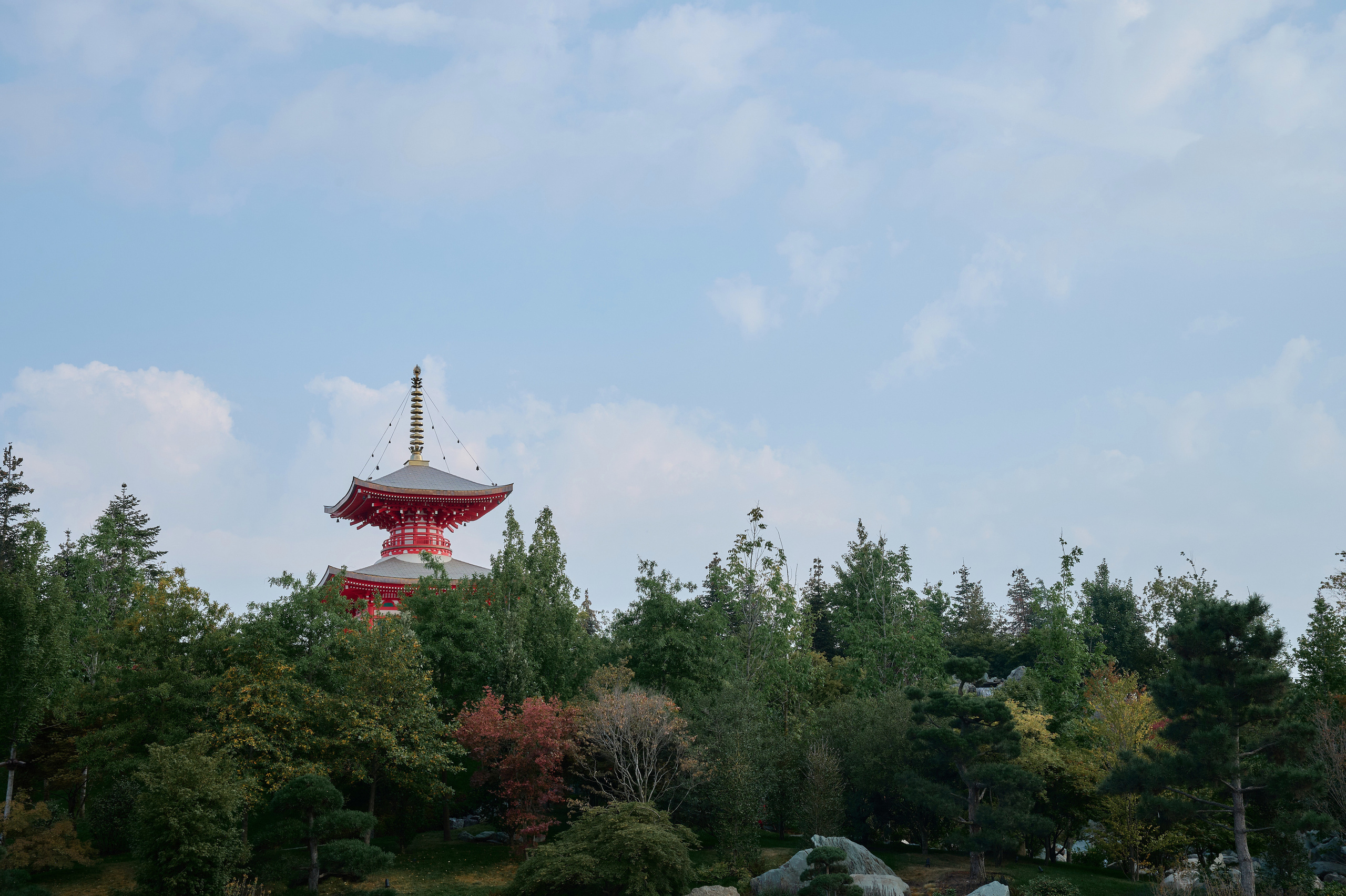 Ин-янь. Свадебный, семейный фотограф в Краснодаре
