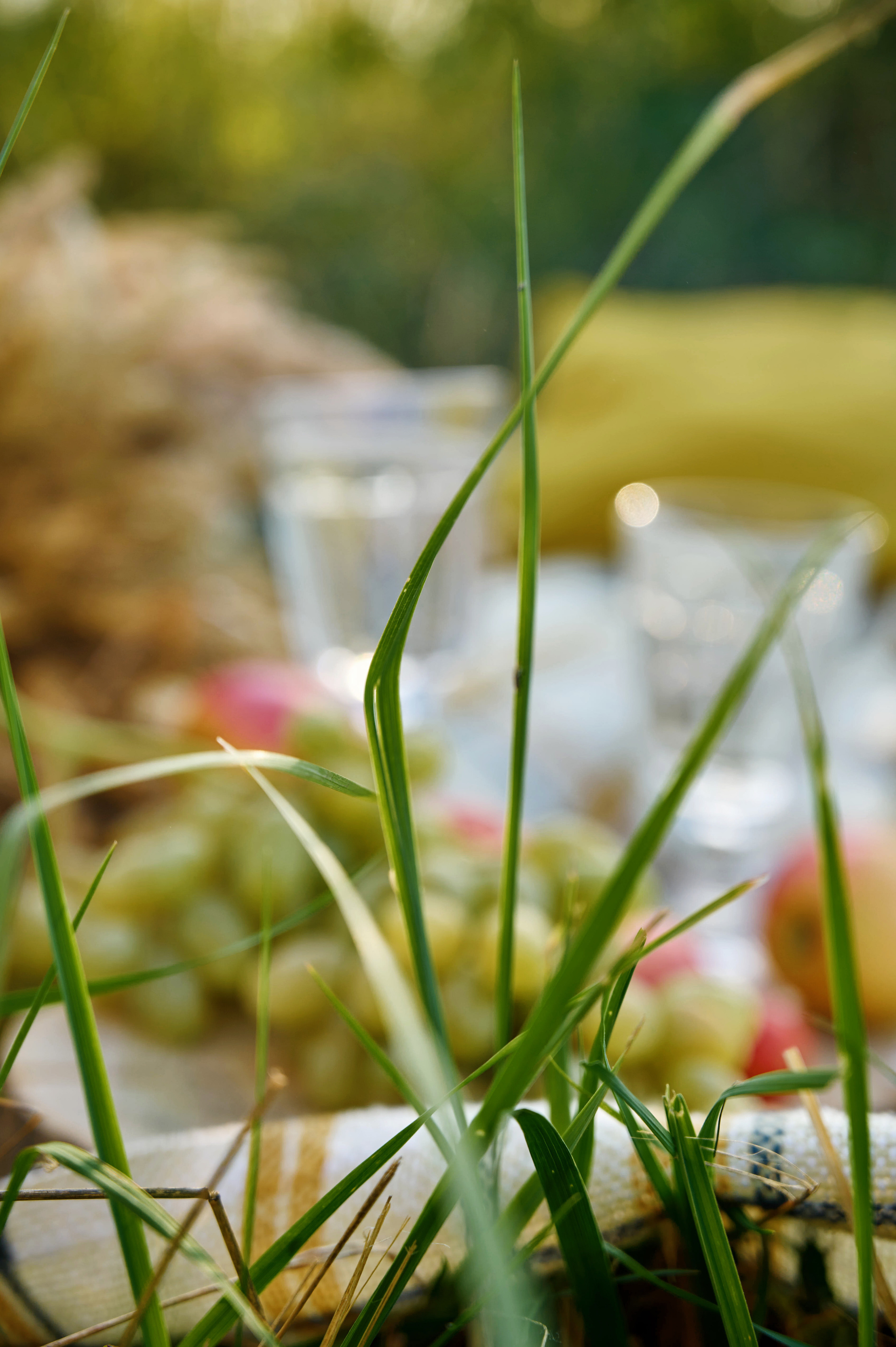 Василий и Анна. Свадебный, семейный фотограф в Краснодаре