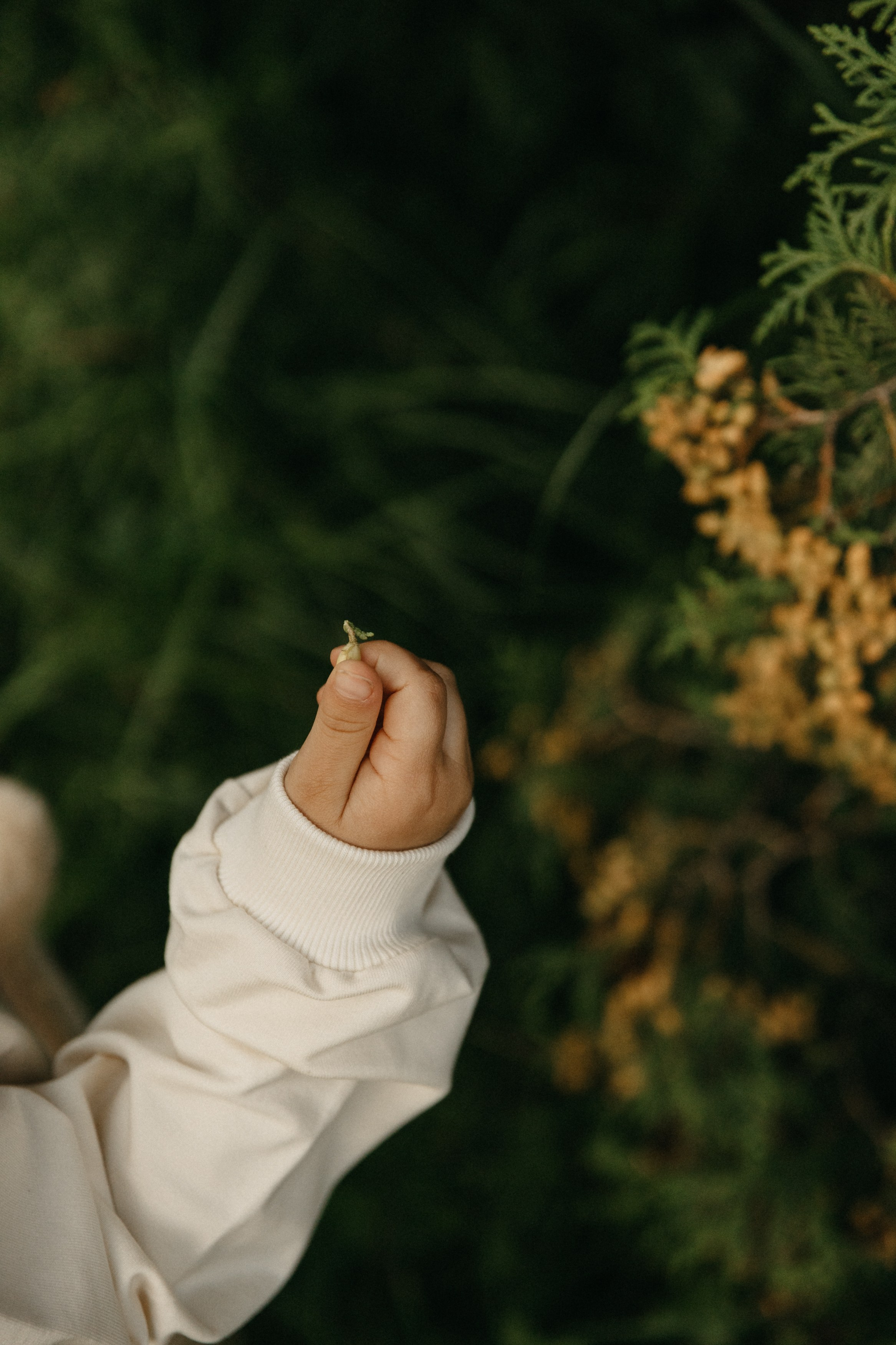 Таня, Миша, Зоя, Нина. Главная