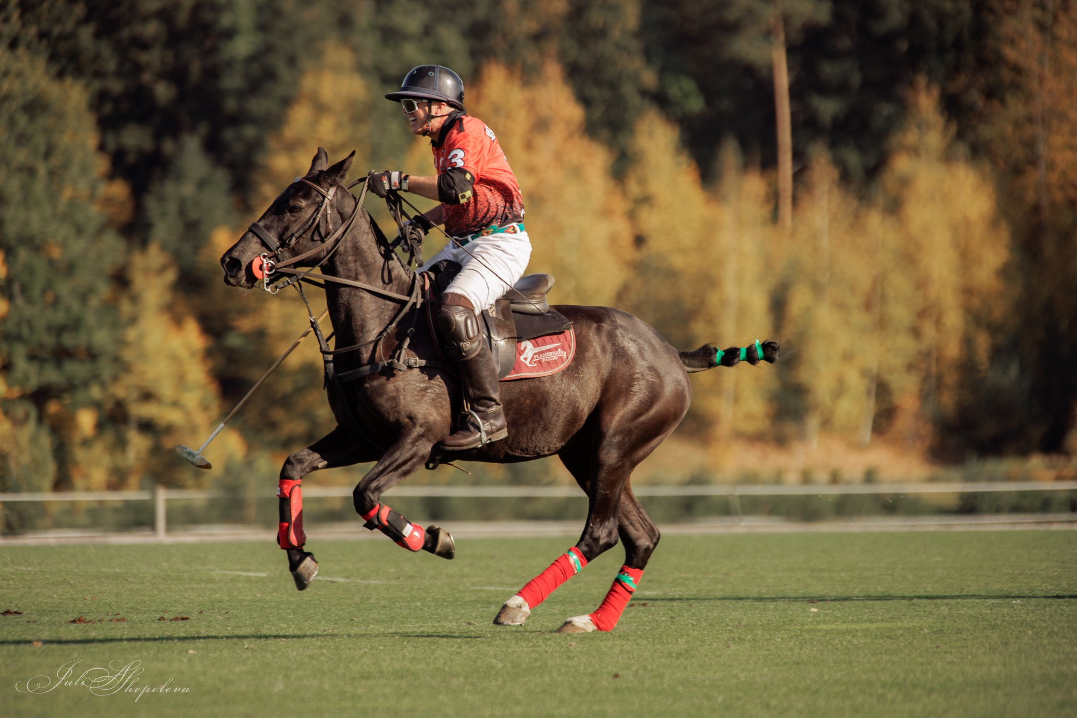 Осенний кубок по конному поло. Детская Конная фотография в Москве Юлия Шепелева