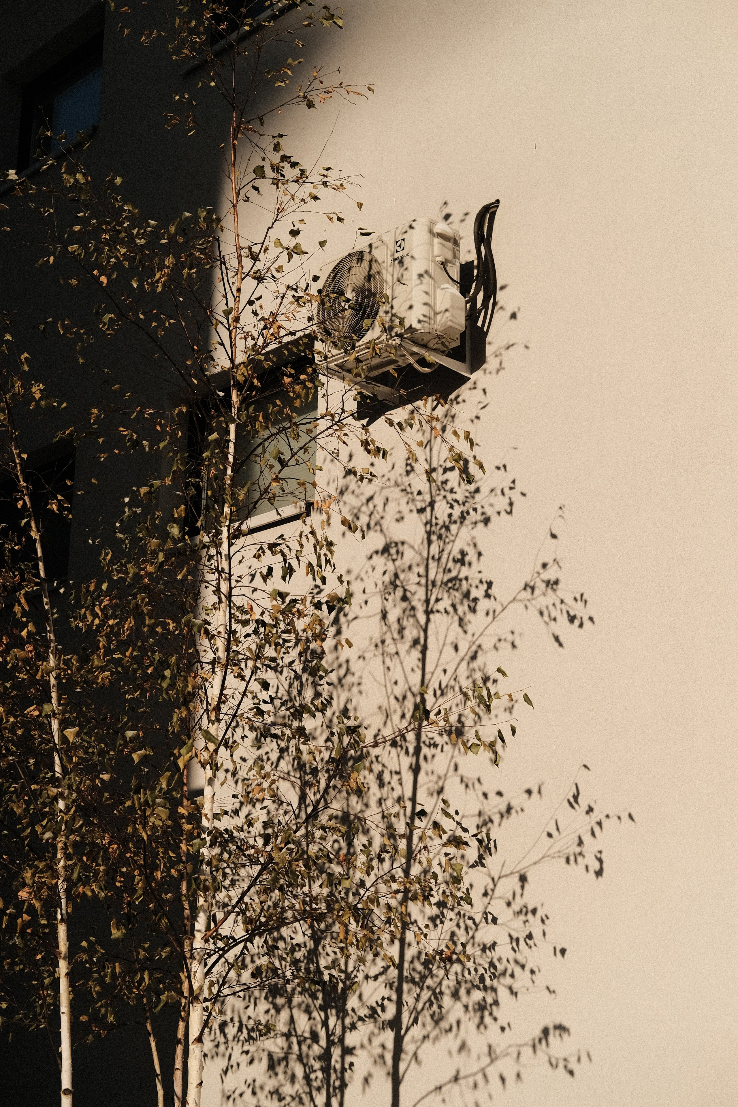 Наблюдения. Семейный фотограф в Новосибирске Артём Кузнецов