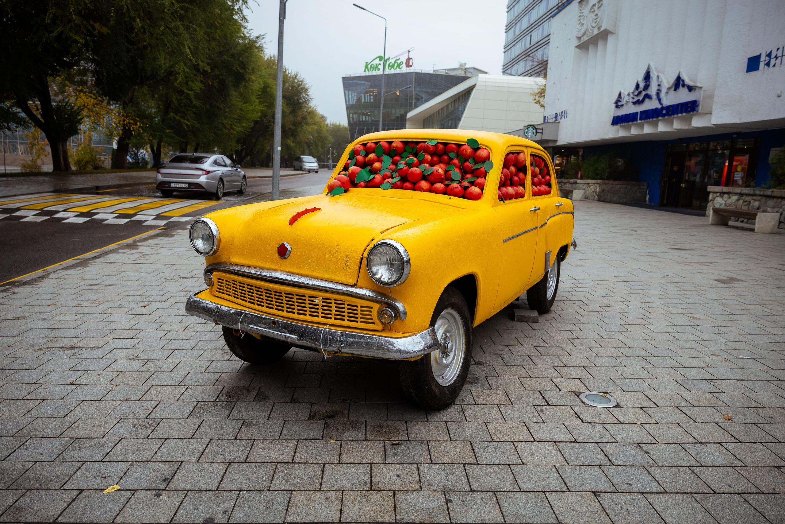 Казахстан (осень 2024). Фотограф Виноградов Константин