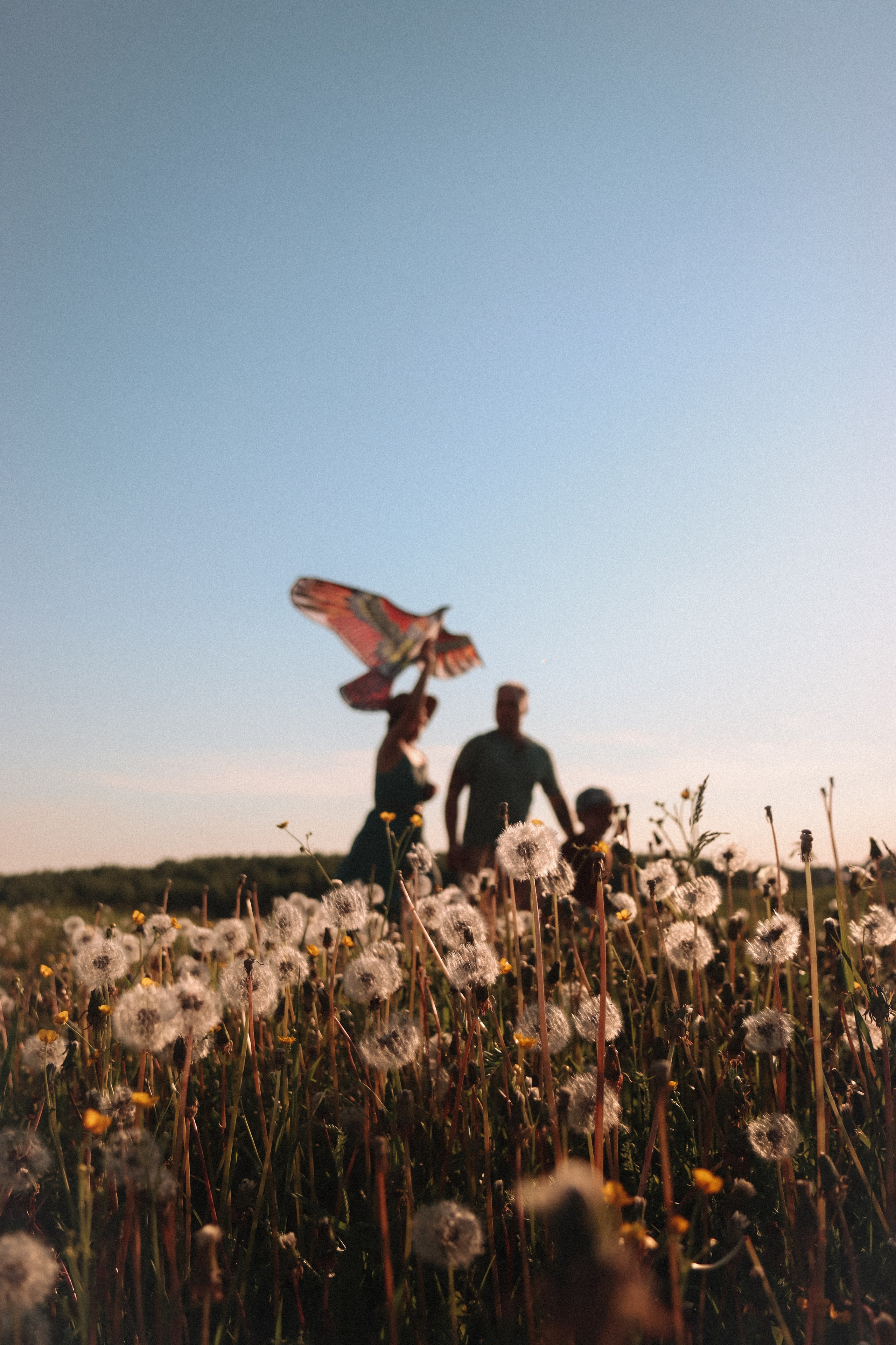 5 лет Максу ♡︎. Фотограф в Кемерово Клюева Дарья