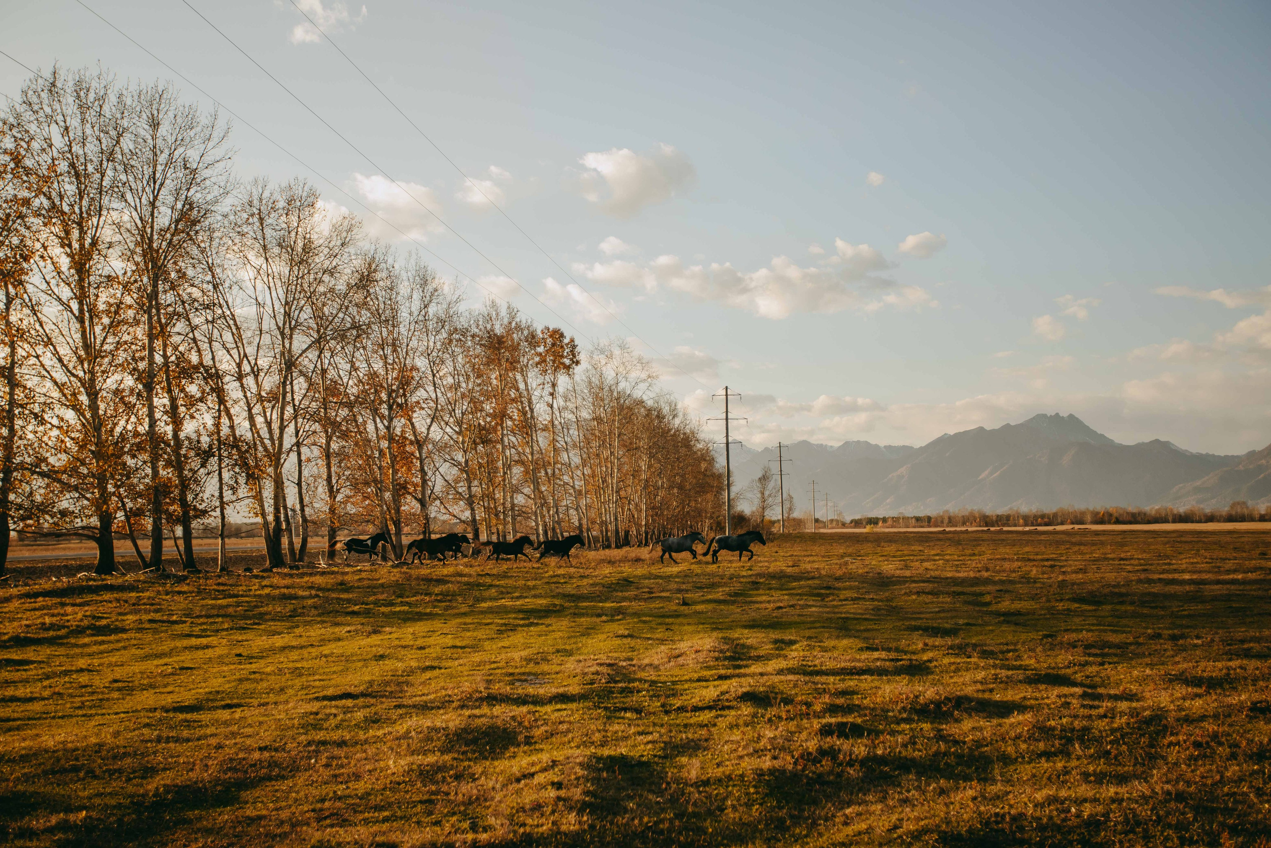 Семейная поездка в Аршан. Фотограф Наталья Кургина Слюдянка Иркутск